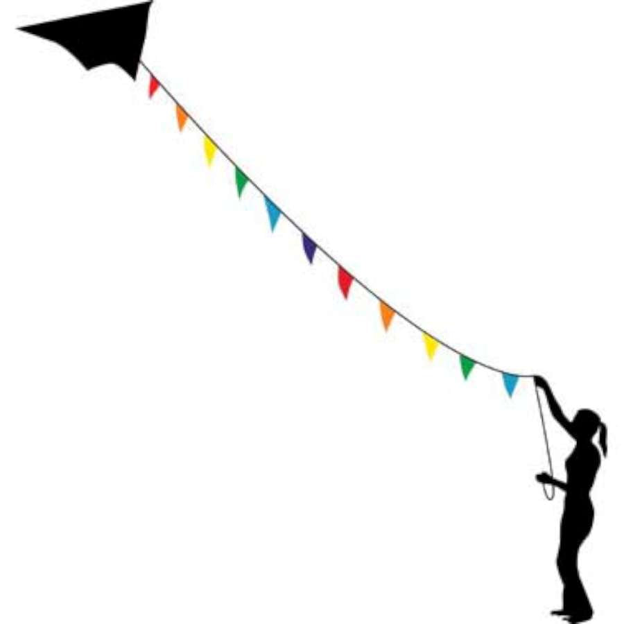 100 ft. Rainbow Flag Line showing colorful flags flying in the wind attached to a kite, creating a lively outdoor atmosphere.