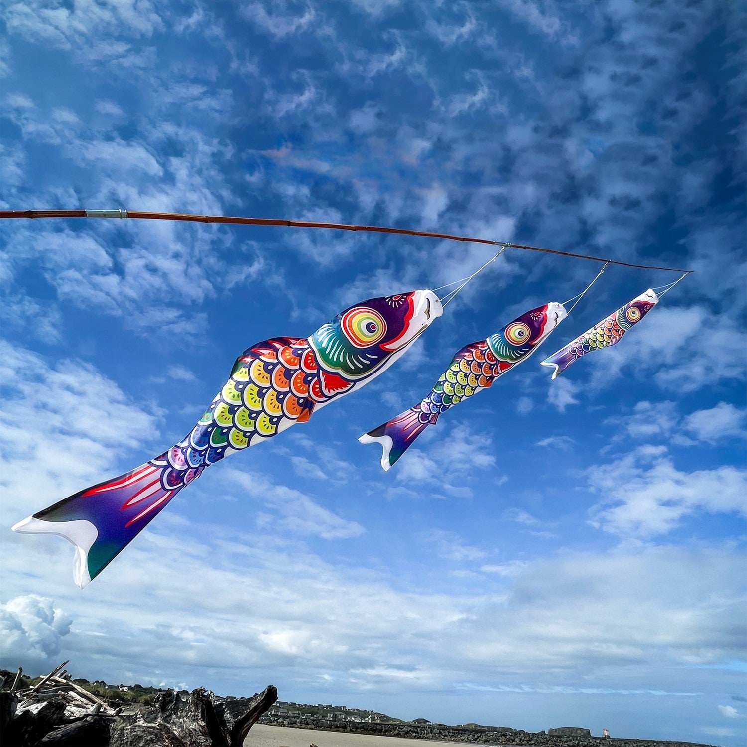 2' Spectrum Koi Fishsock in vibrant rainbow colors hanging from a garden hook in a garden setting, capturing the breeze effortlessly.
