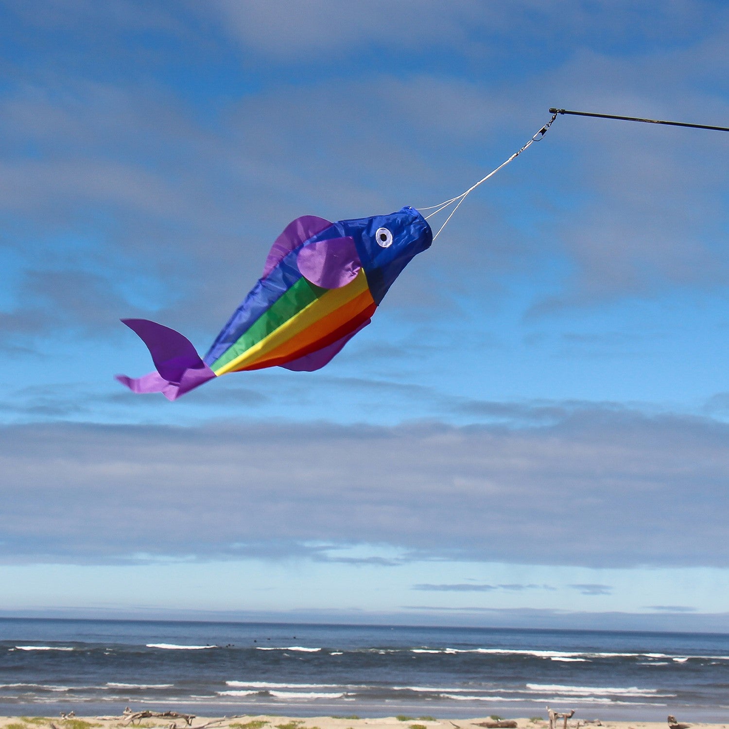 26-inch Rainbow Trout Windsock featuring vibrant rainbow panels, displayed outdoors with a fun 3D effect fluttering in the wind.