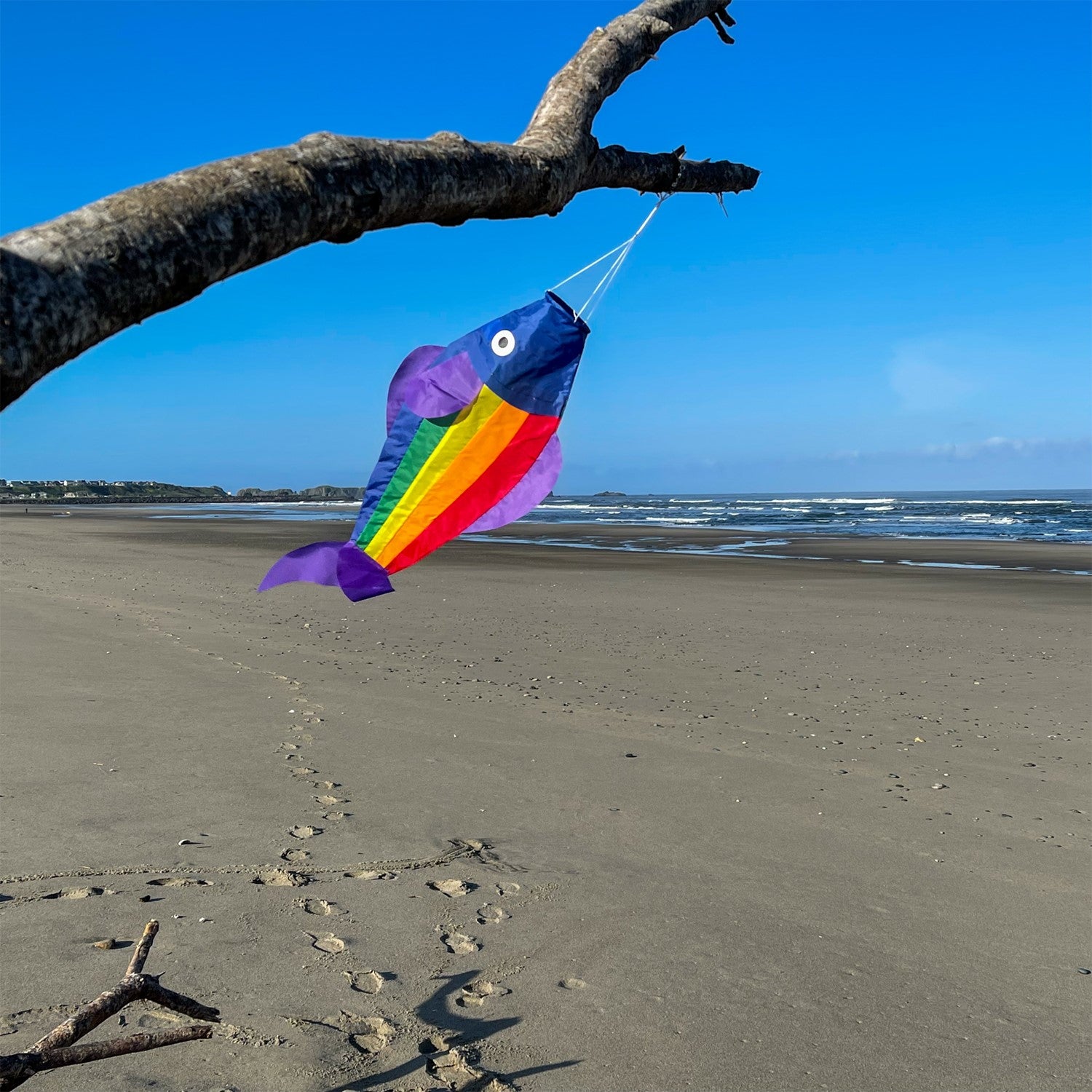 26-inch Rainbow Trout Windsock featuring vibrant rainbow panels, displayed outdoors with a fun 3D effect fluttering in the wind.