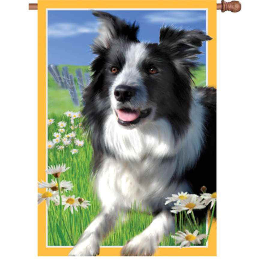 28 in. illuminated garden flag featuring Lacey the Border Collie displayed outdoors, showcasing a vibrant design on fade-resistant polyester fabric.