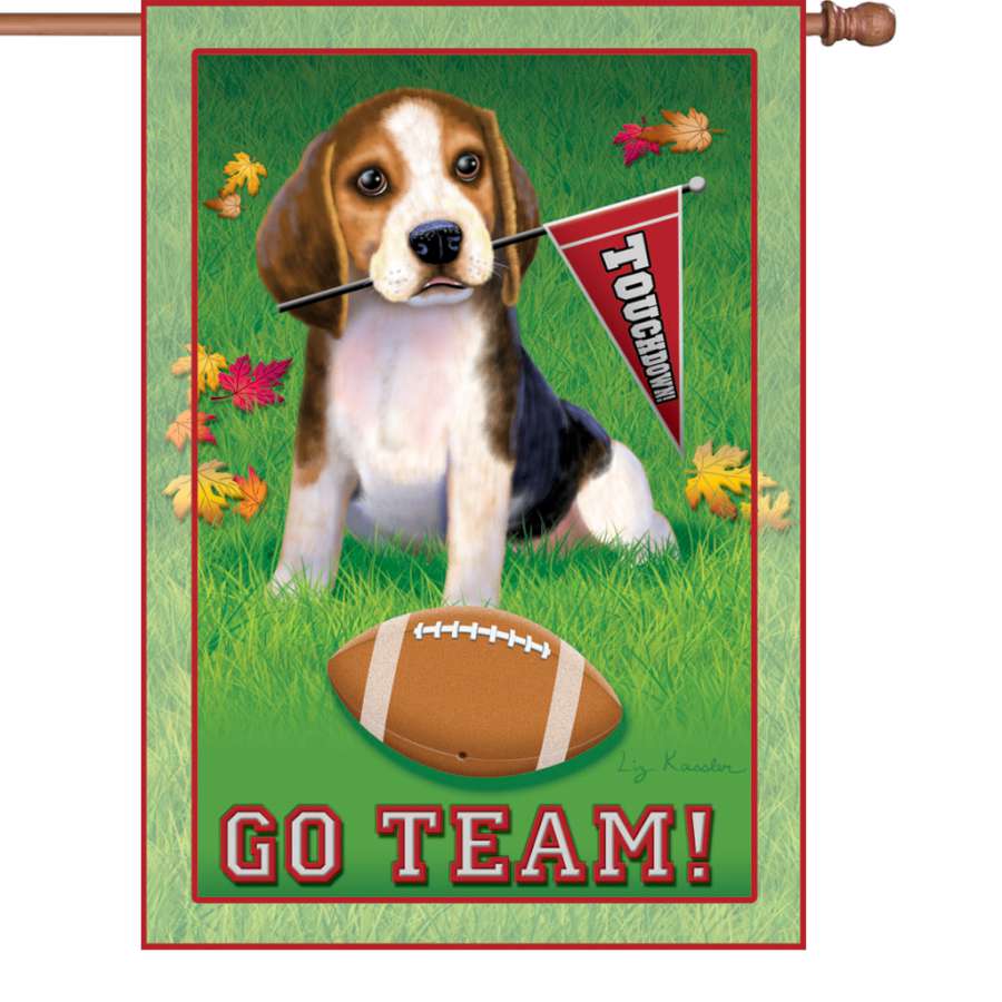 28 in. Go Team flag displayed outdoors, featuring bright colors and team graphics, perfect for autumn festivities or game day.