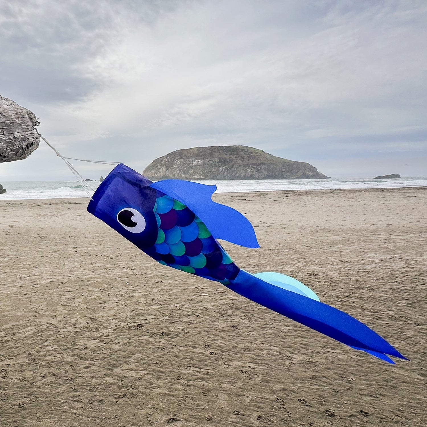 30-inch Cool Damsel Fish windsock in vibrant blue colors hanging outdoors, fluttering in the wind with colorful fins moving freely.