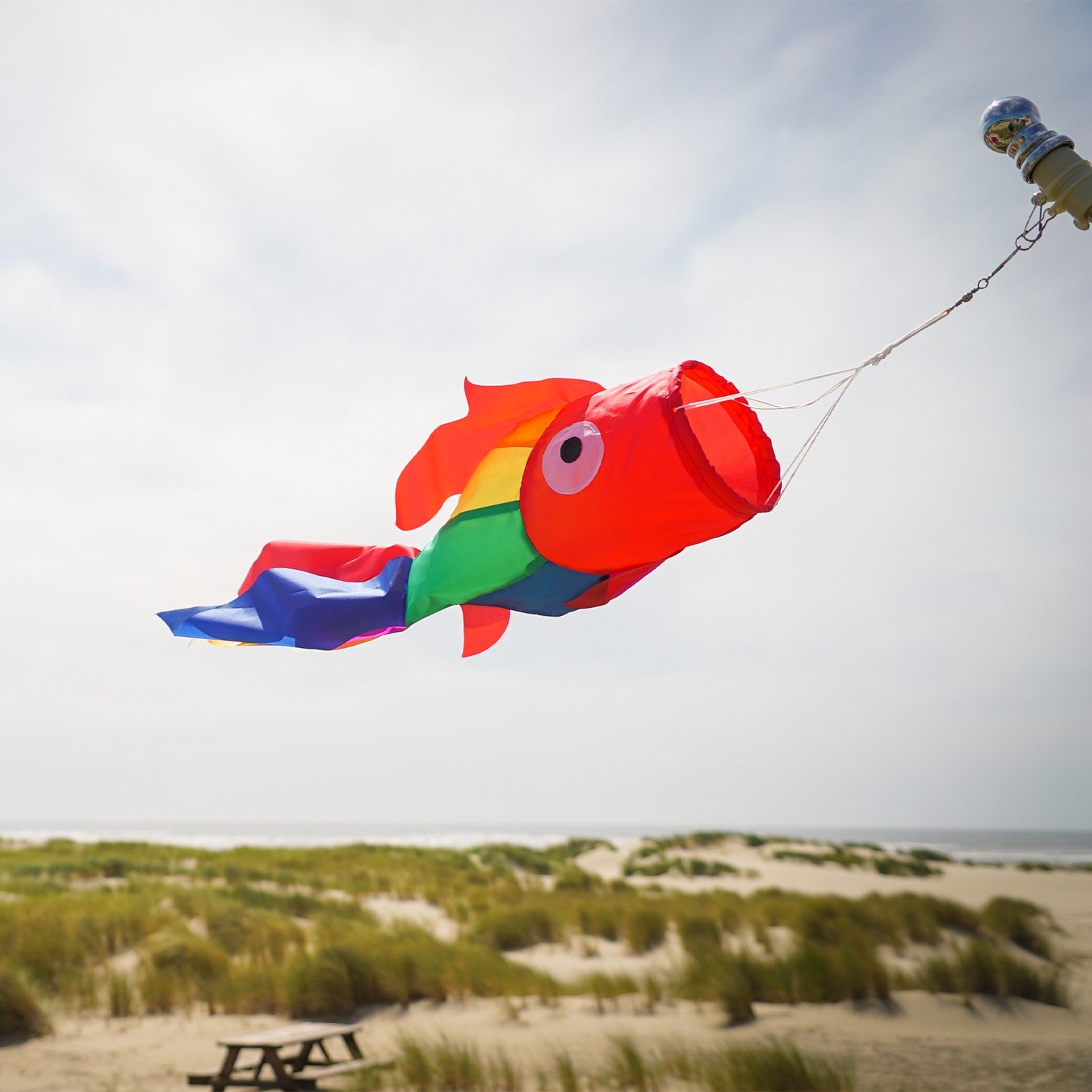 30" Rainbow Damsel Fish Windsock features colorful applique design, strong construction, and a lively presence, perfect for any outdoor decoration theme.
