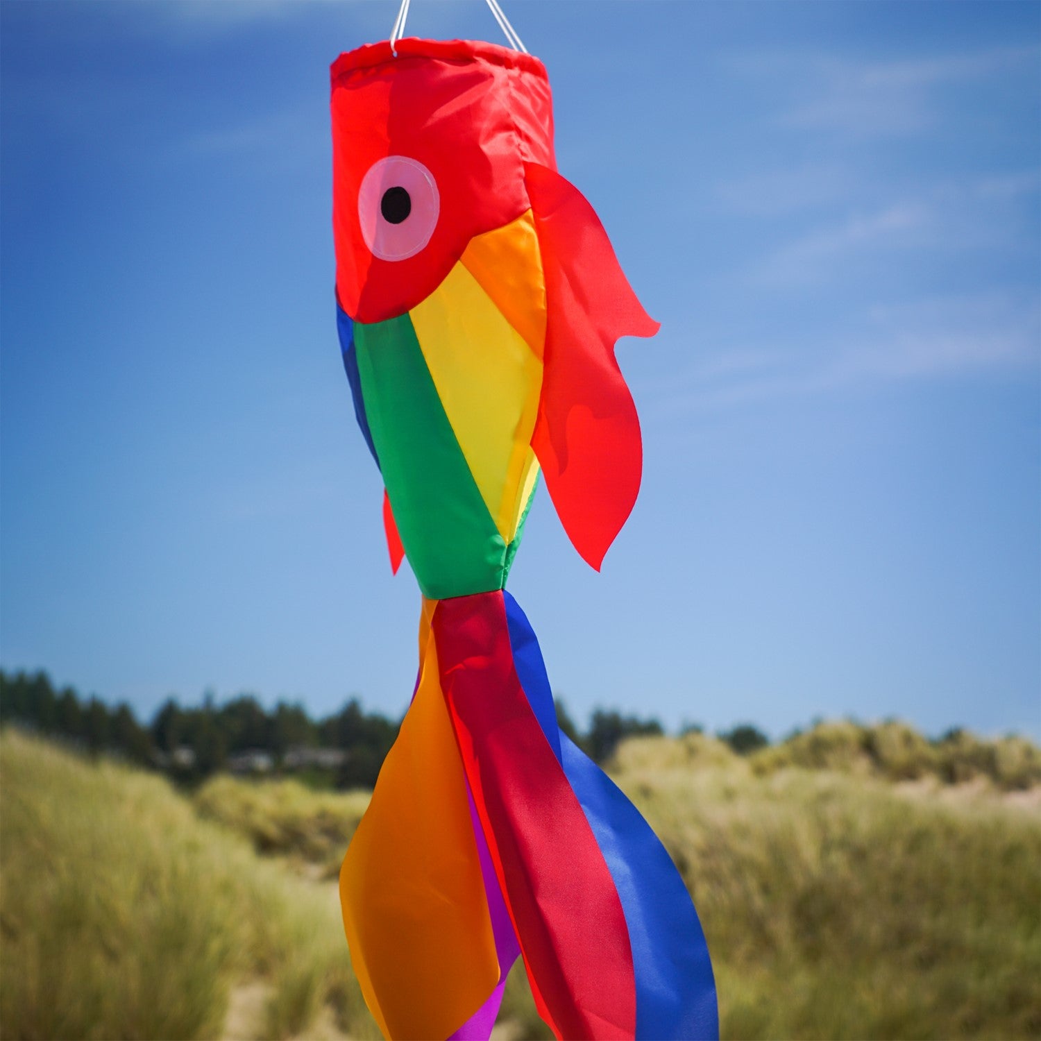 30" Rainbow Damsel Fish Windsock features colorful applique design, strong construction, and a lively presence, perfect for any outdoor decoration theme.
