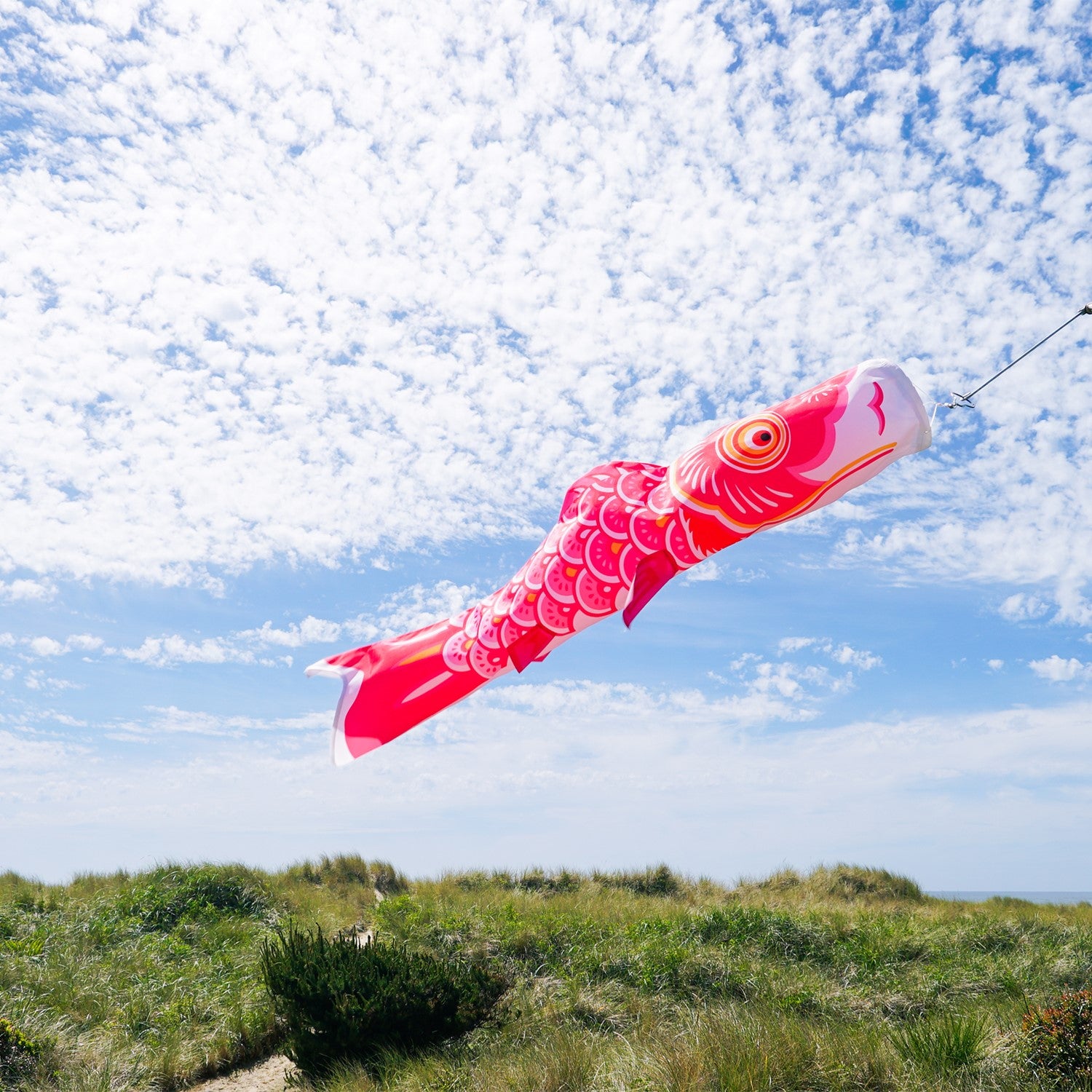 36-inch Pink Koi windsock displaying bright colors in a garden, fluttering gently in the breeze, designed for outdoor decoration and celebrations.