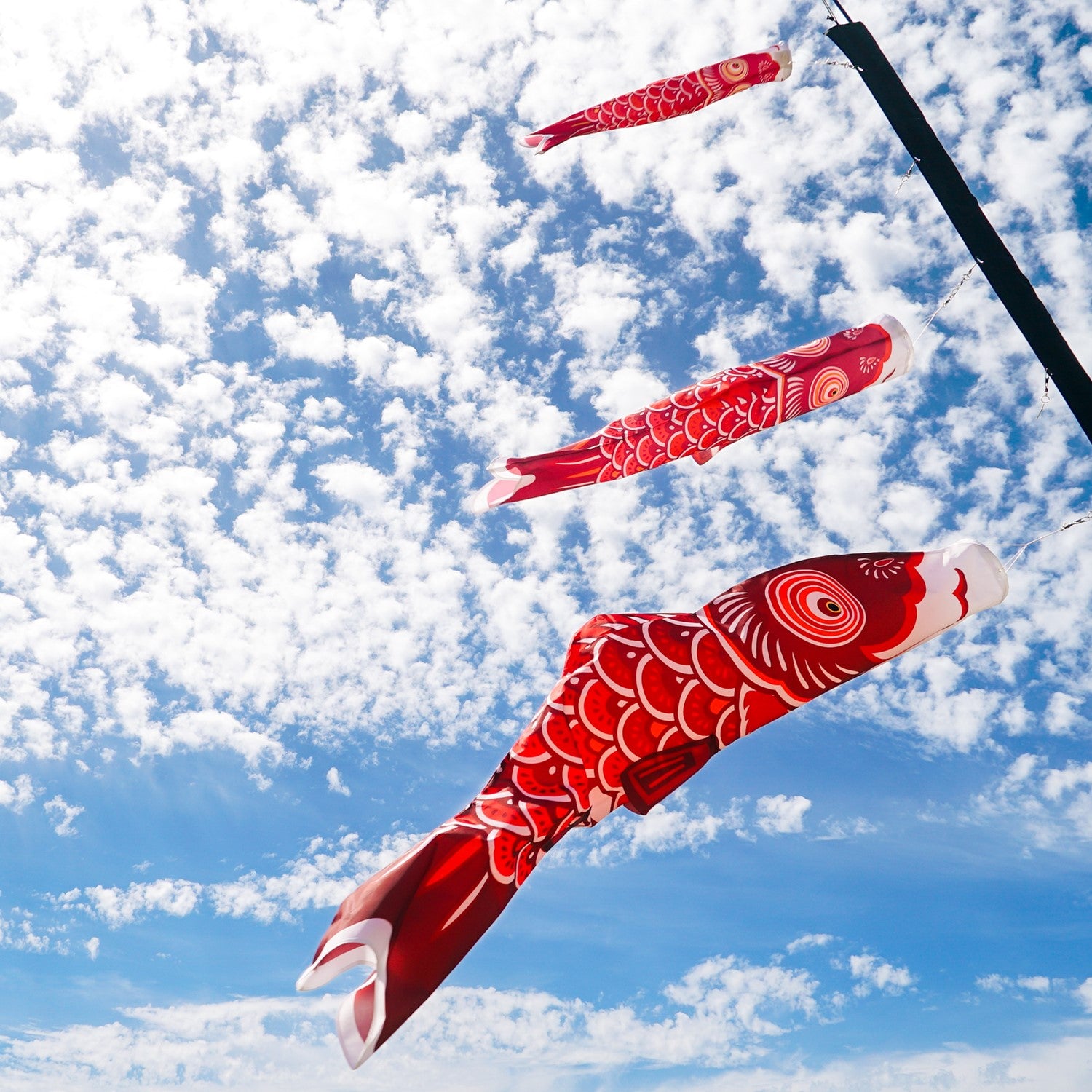 36-inch Red Koi Windsock featuring vibrant colors and detailed patterns, gently swaying in an outdoor garden setting.
