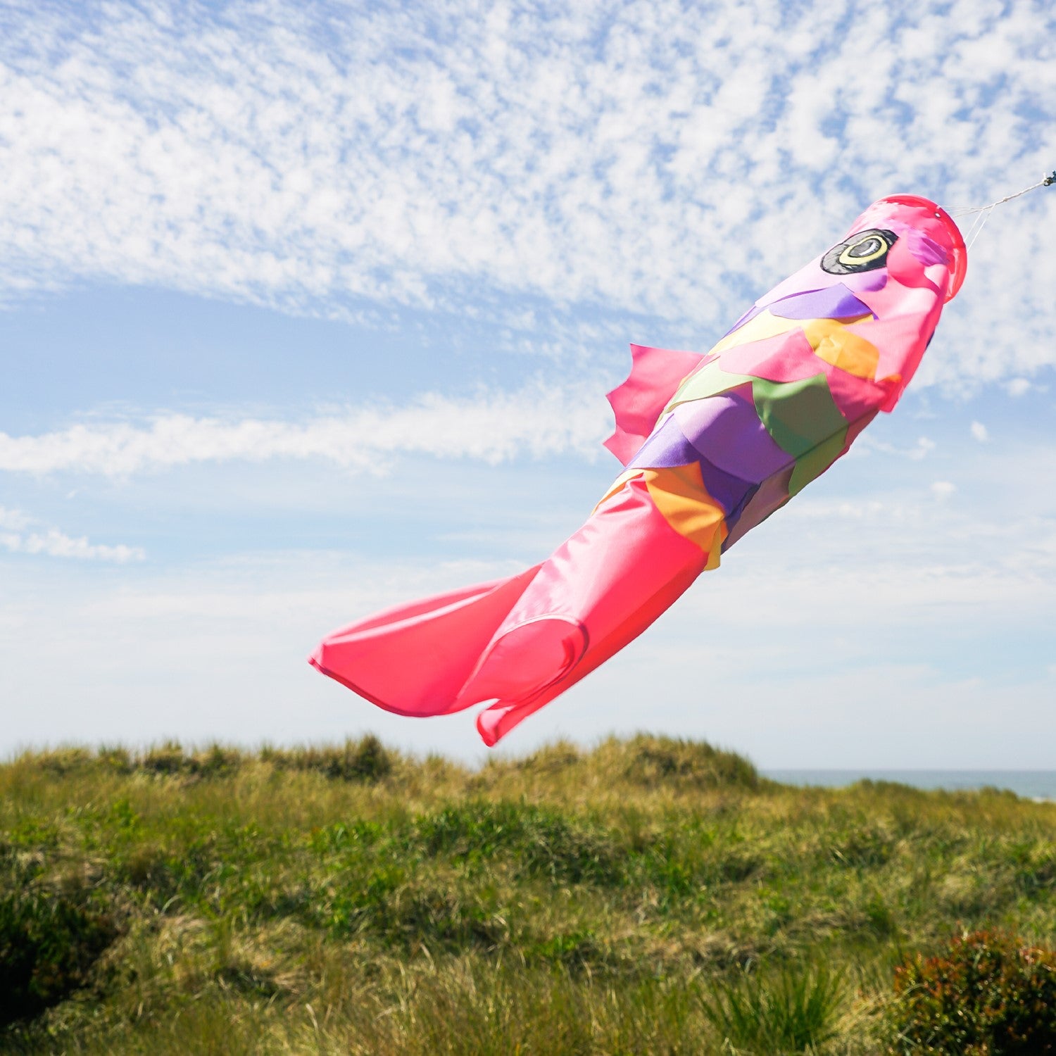 Colorful 36" Soft Overlay Fish windsock with detailed applique design and embroidered accents hanging from a tree in an outdoor setting.