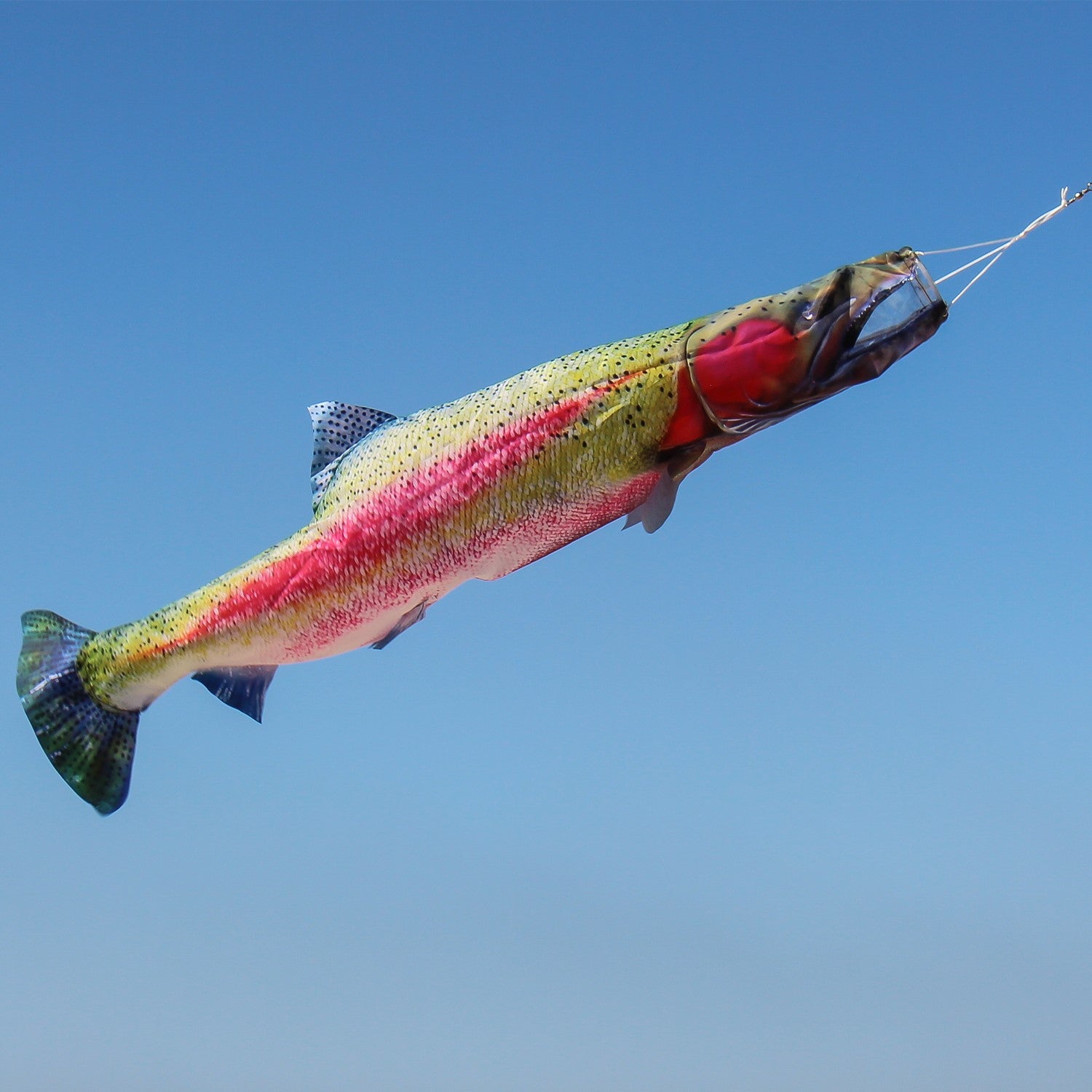 36-inch Trout Windsock featuring a colorful rainbow trout design, perfect for outdoor decoration in a garden or fishing area.