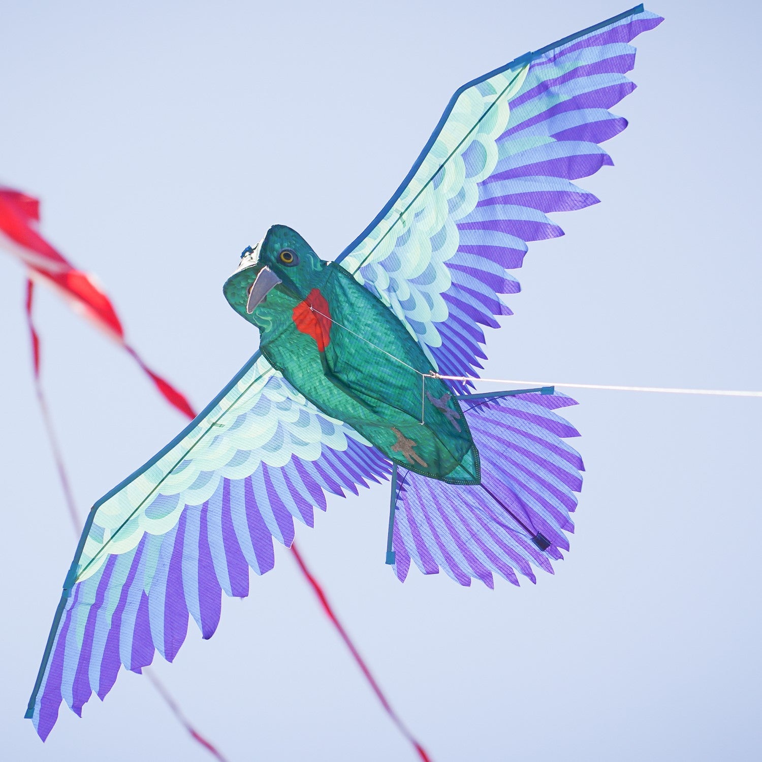 3D Hummingbird Kite in vibrant colors with a realistic design, flying against a blue sky, showcasing its detailed wingspan and body construction.