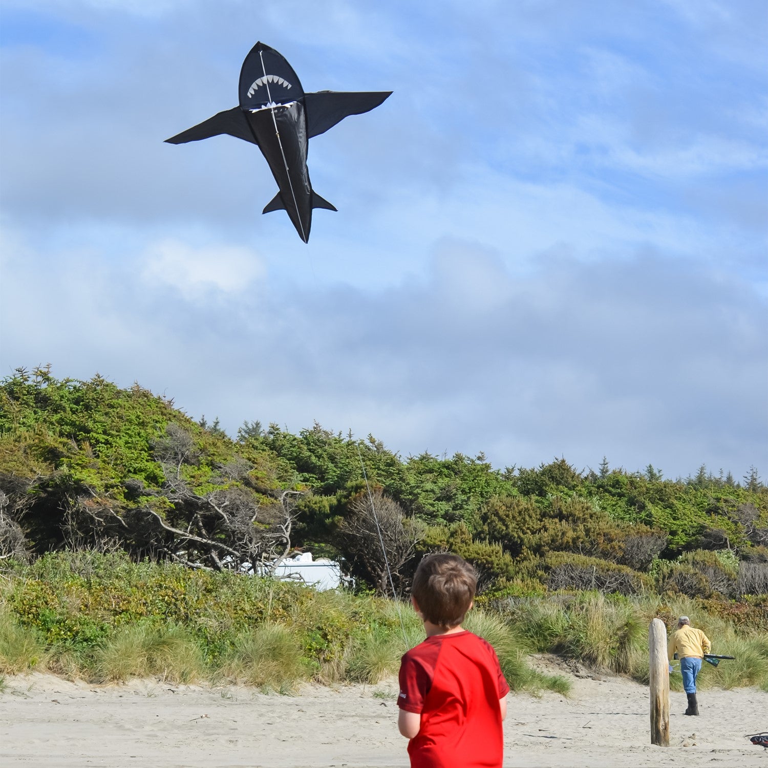 A vibrant 4' 3D Shark Kite soaring across a blue sky, showcasing its toothy design and dynamic motion as it is flown by a family enjoying the outdoors.