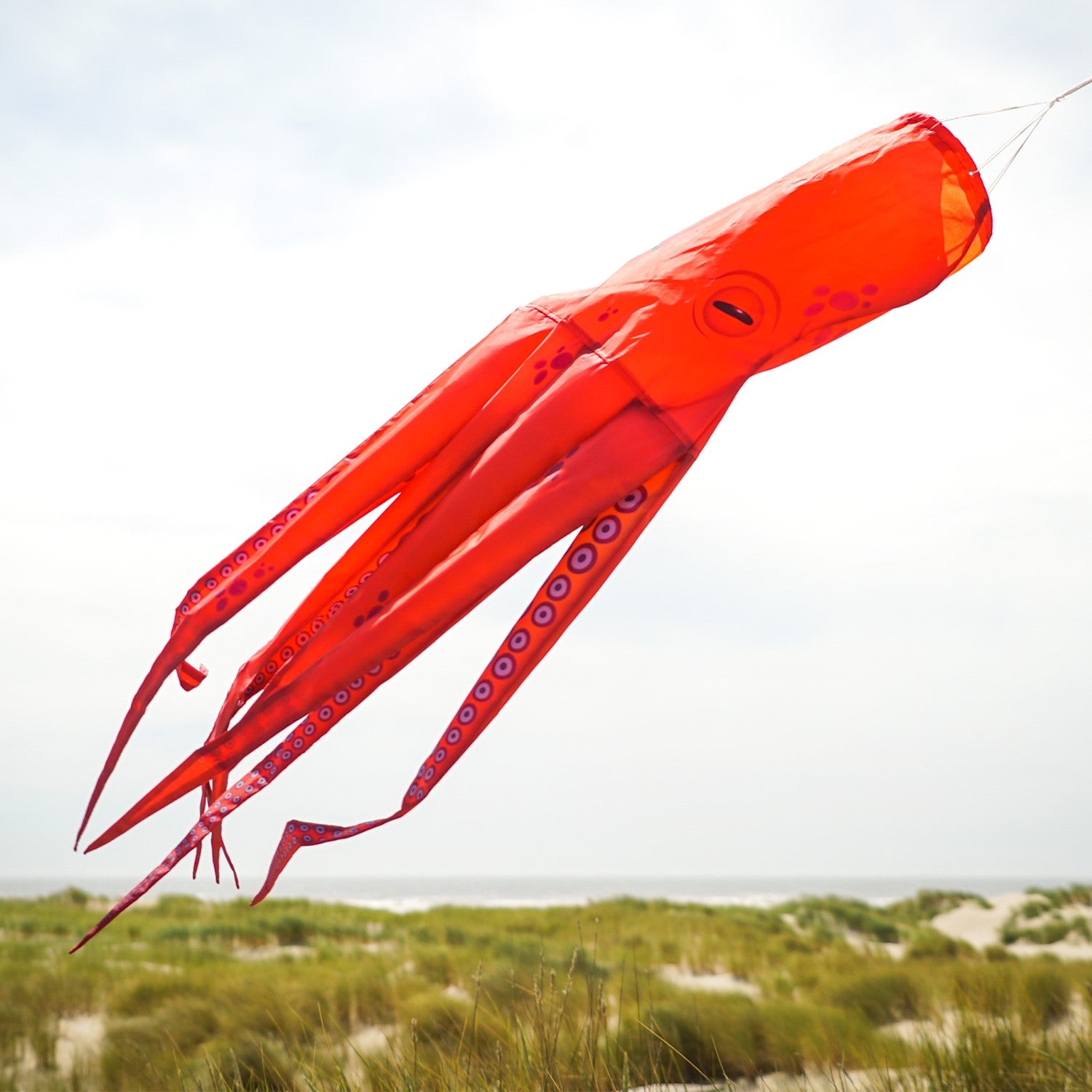 40-inch Octopus 3D Windsock featuring realistic tentacle design, fully printed on durable material, displayed outdoors in a garden setting.