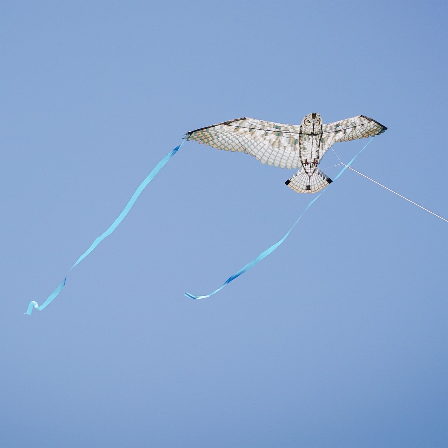 40-inch Owl Bitty Bird Kite featuring a realistic design of a great horned owl in flight, displayed against a blue sky.
