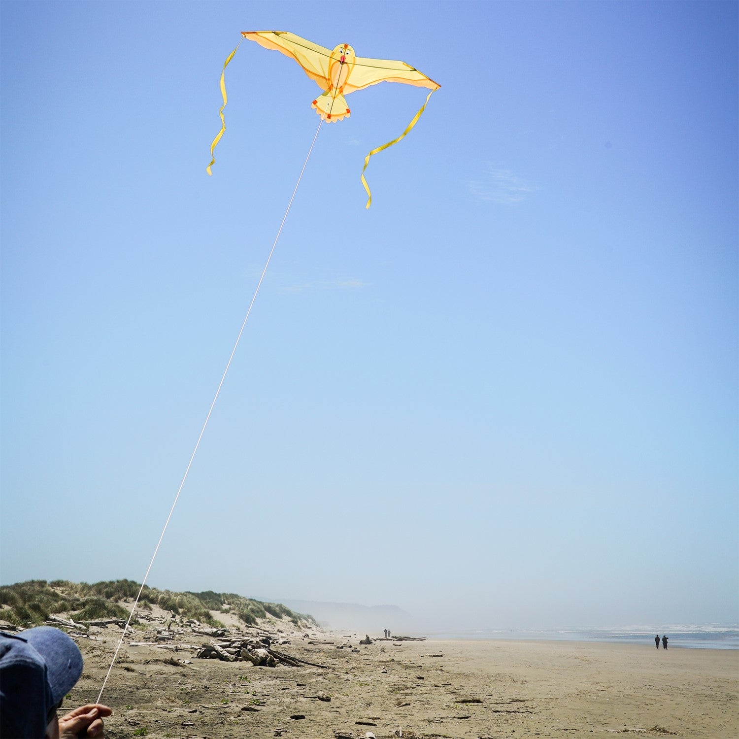 40-inch Yellow Bitty Bird Kite soaring in the sky with color-coordinated streamer tails and a cheerful bird design.