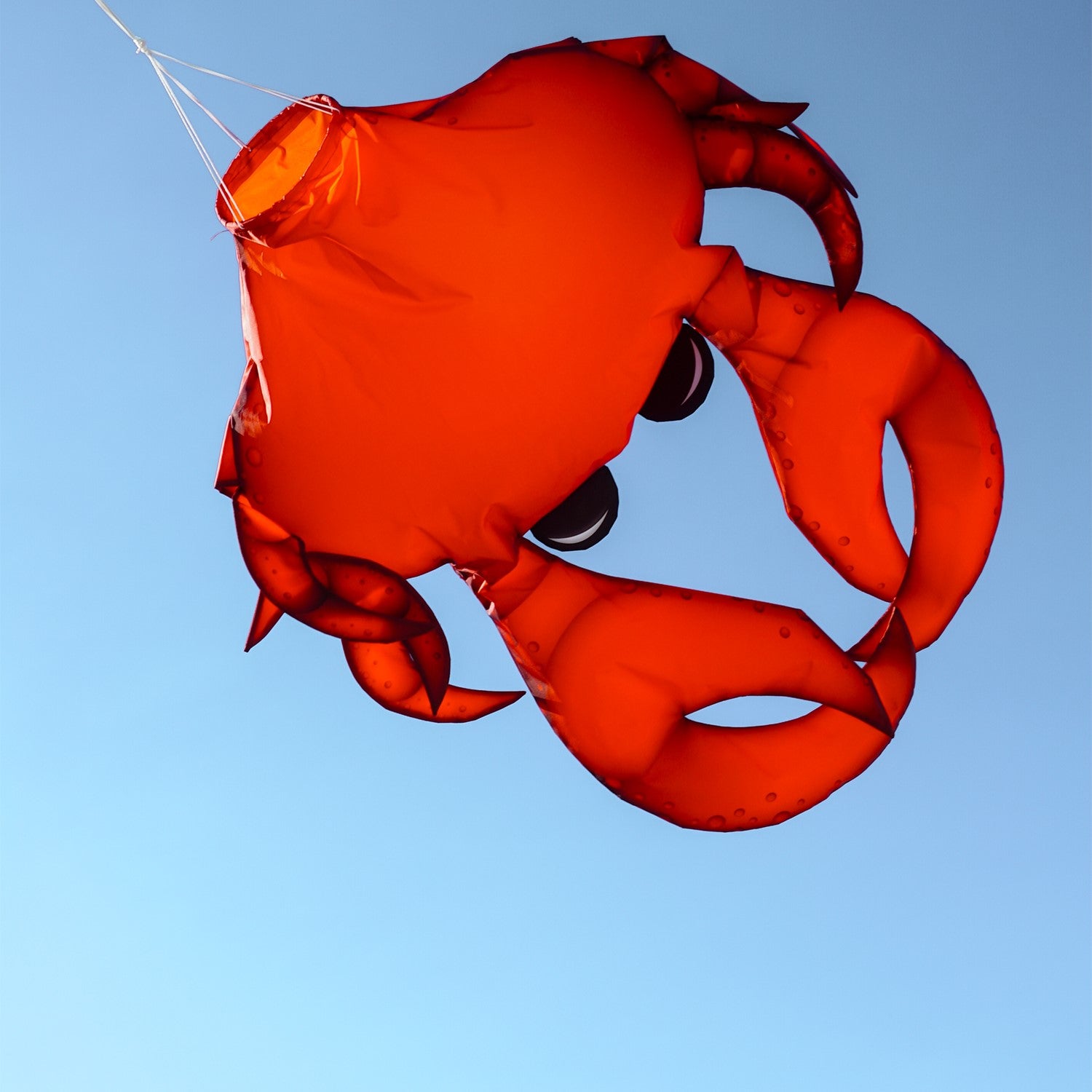 40-inch Realistic Crab 3D Windsock showcasing vibrant colors and detail, hanging outdoors in a garden against a blue sky.
