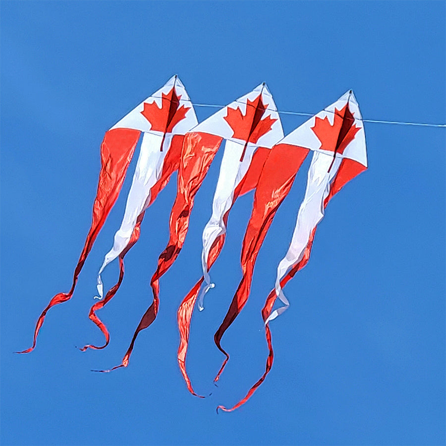 Three 46 in. Flo-Train Delta Kites featuring the Canada flag design with long tails, displayed against a clear sky, ready for flying action.