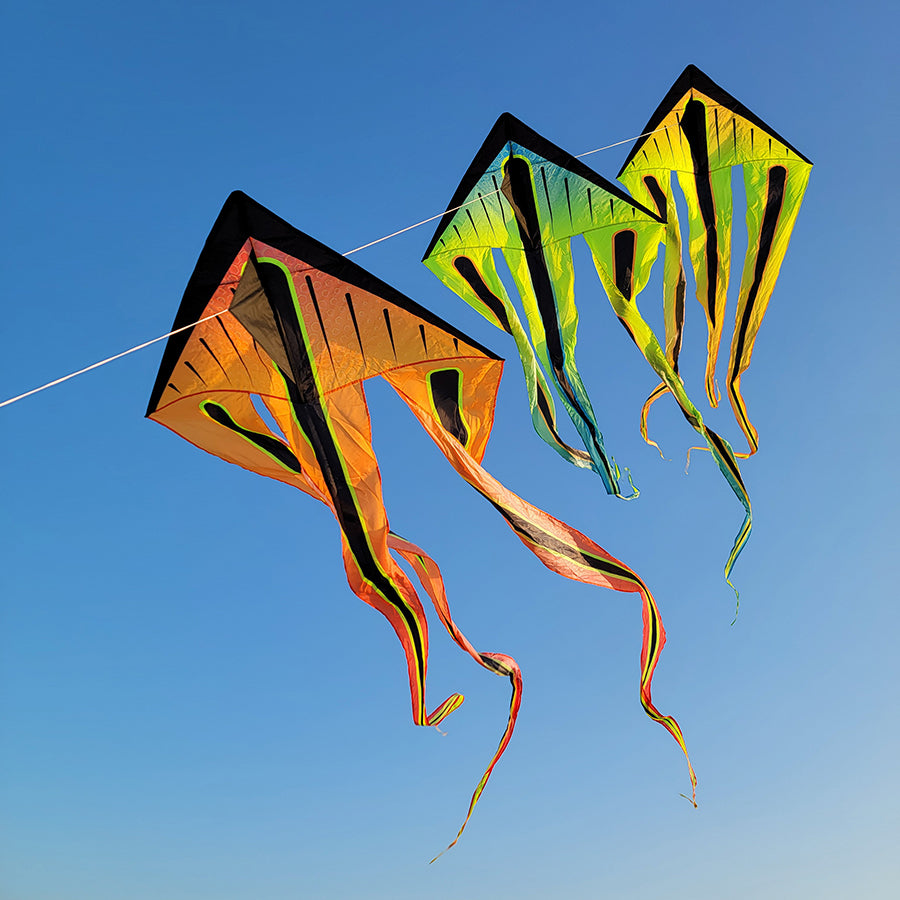 46 in. Flo-Train Delta Kite - Orange Shock Flag soaring against a clear blue sky, displaying its long colorful tails in an outdoor setting.