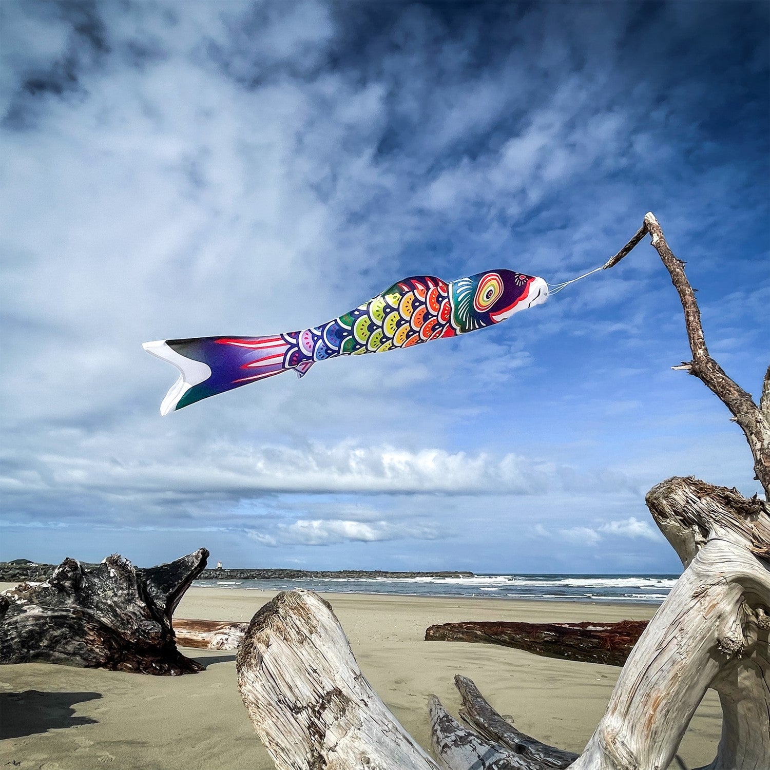 5' Spectrum Koi Fishsock showcasing a colorful koi design, hanging in a garden setting, gently waving in the breeze.
