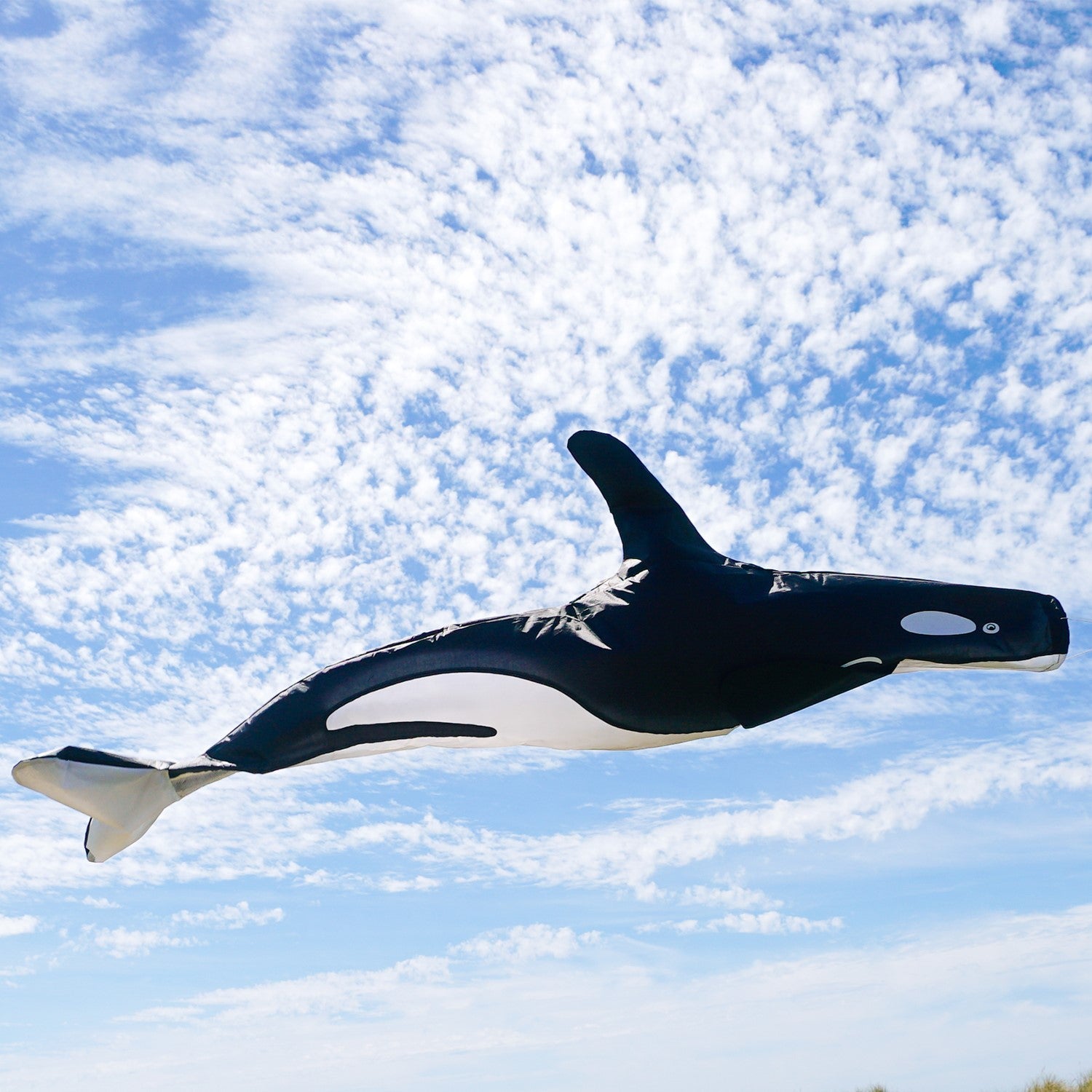 54-inch 3D Orca Windsock with embroidered details, gracefully swimming in the wind, showcasing its vibrant colors in an outdoor setting.