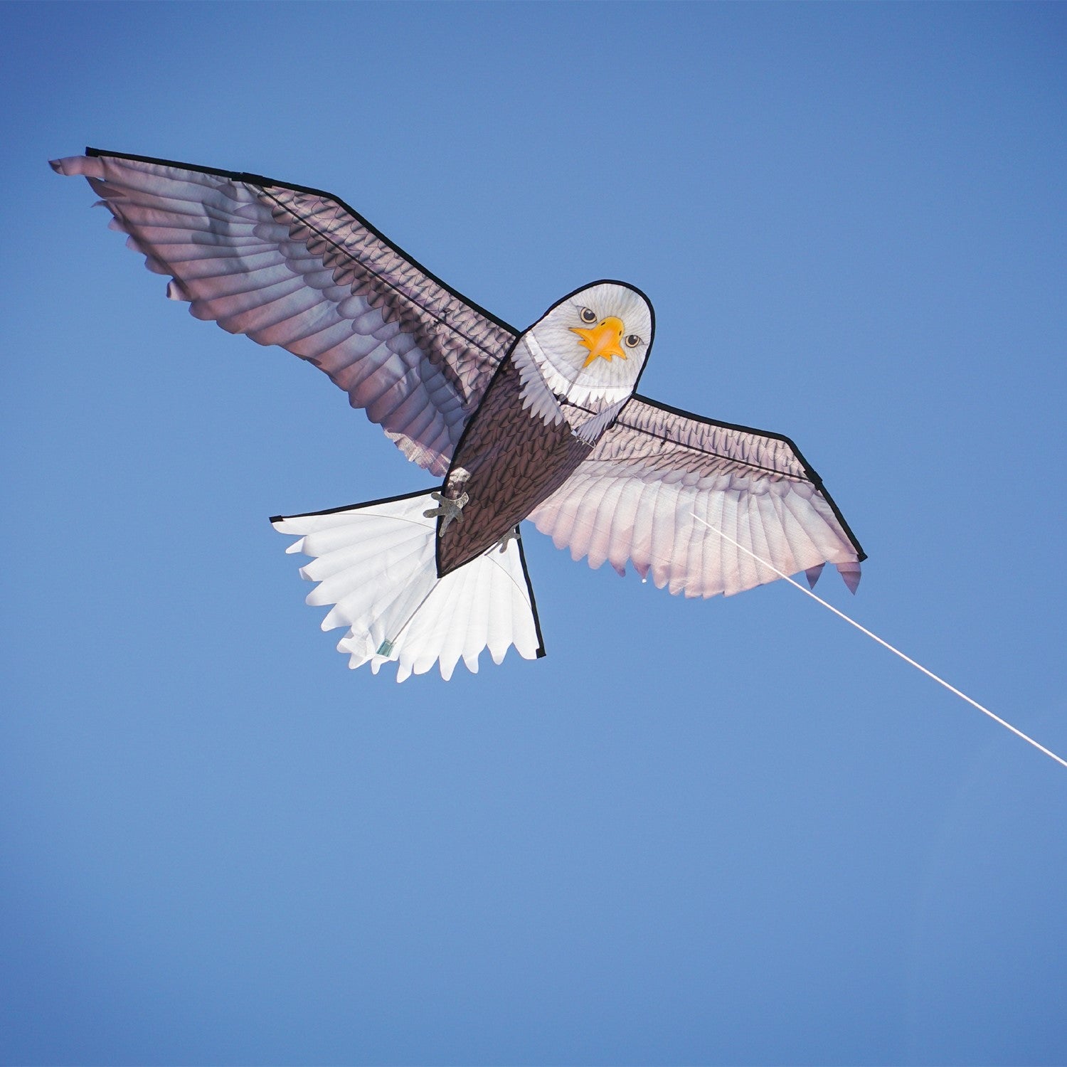 70-inch bald eagle kite with realistic design, perfect for outdoor fun in various wind conditions, easy to assemble and transport.