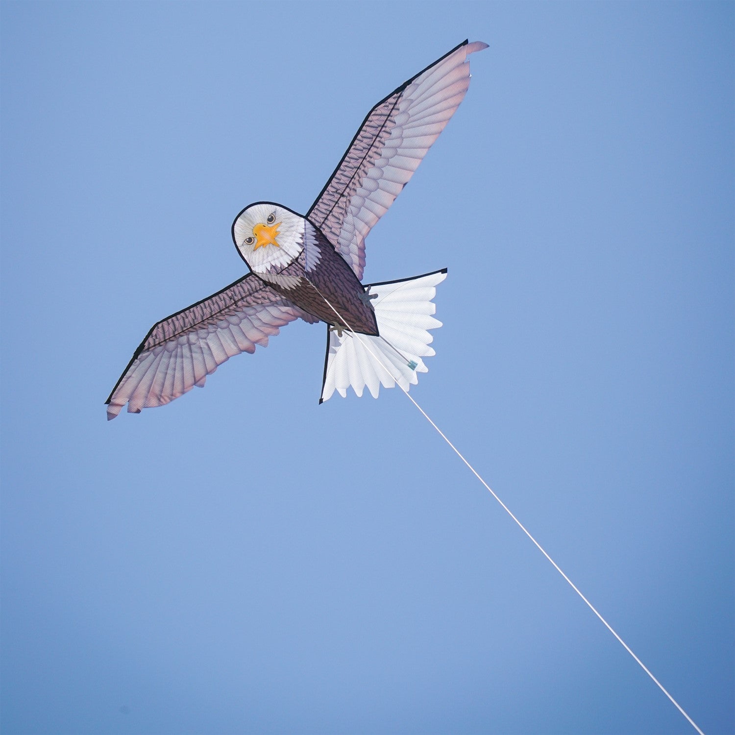 70-inch bald eagle kite with realistic design, perfect for outdoor fun in various wind conditions, easy to assemble and transport.