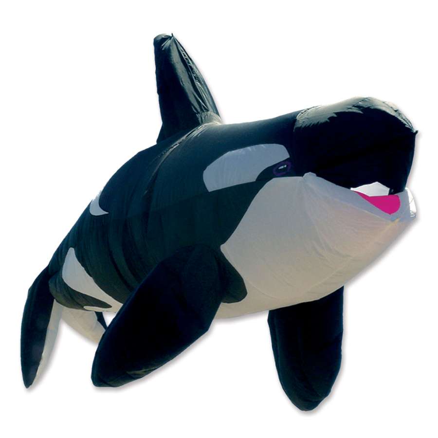 8 ft. Killer Whale Kite soaring against a blue sky, showcasing vibrant colors and a frameless design, perfect for kite enthusiasts.