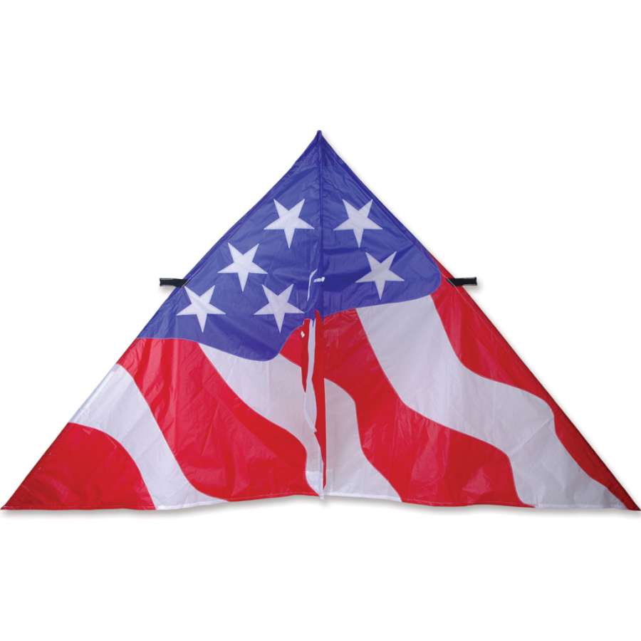 Large 9 ft. Delta Kite featuring patriotic colors gracefully flying in a clear blue sky during a sunny outdoor event.