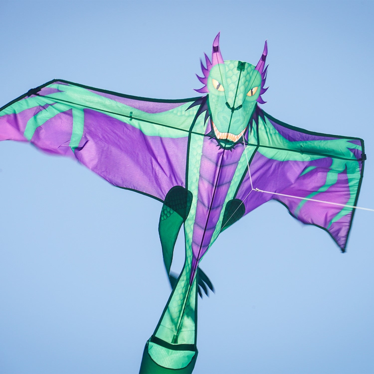 90" dragon kite featuring a vibrant dragon design soaring through the sky, complete with a long inflatable tail for stability and easy handling.