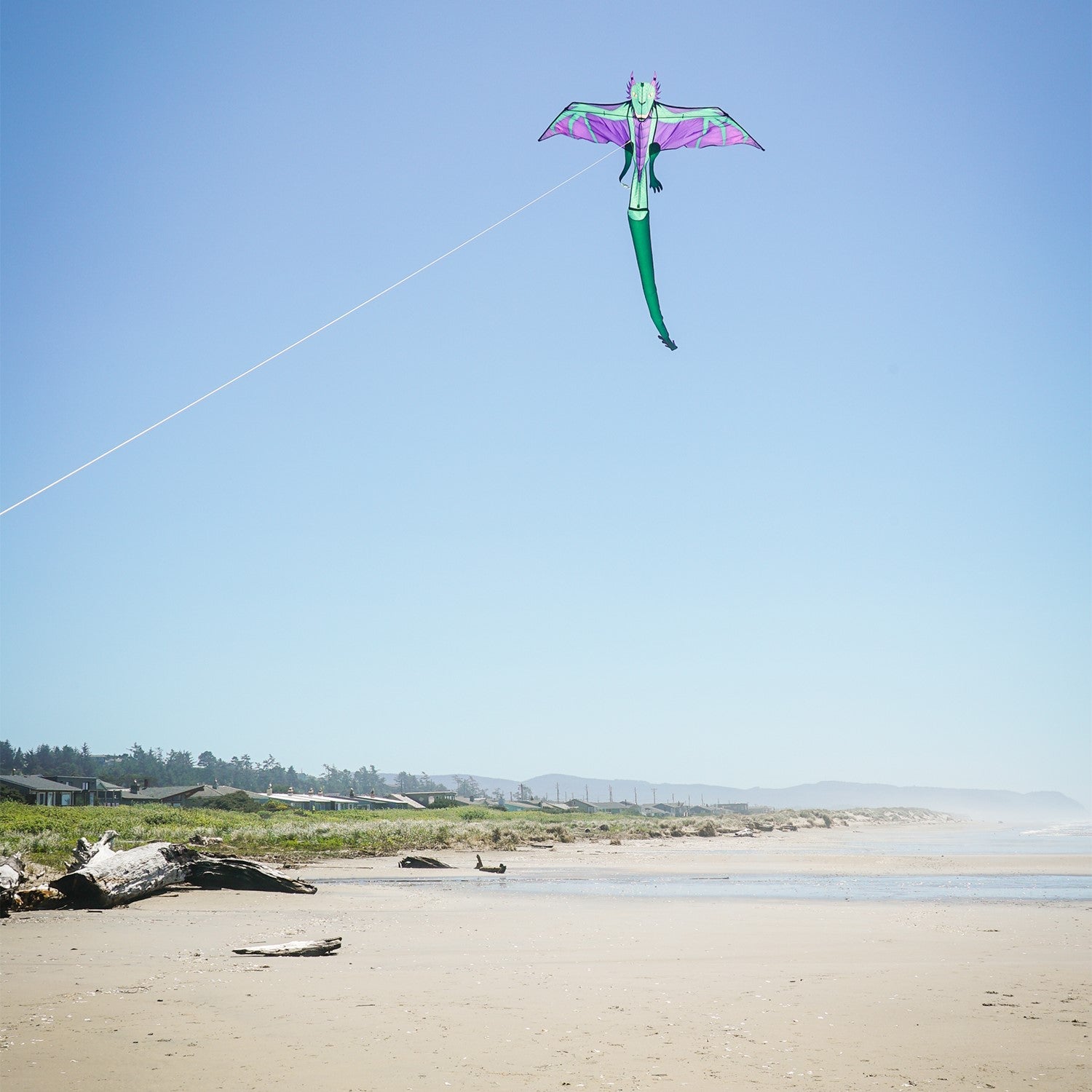 90" dragon kite featuring a vibrant dragon design soaring through the sky, complete with a long inflatable tail for stability and easy handling.