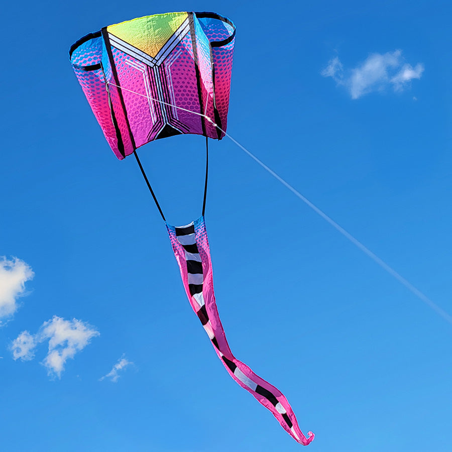 Aero Tech Power Sled 10 kite in Purple Plum flying high with a massive banner tail in a clear blue sky background.