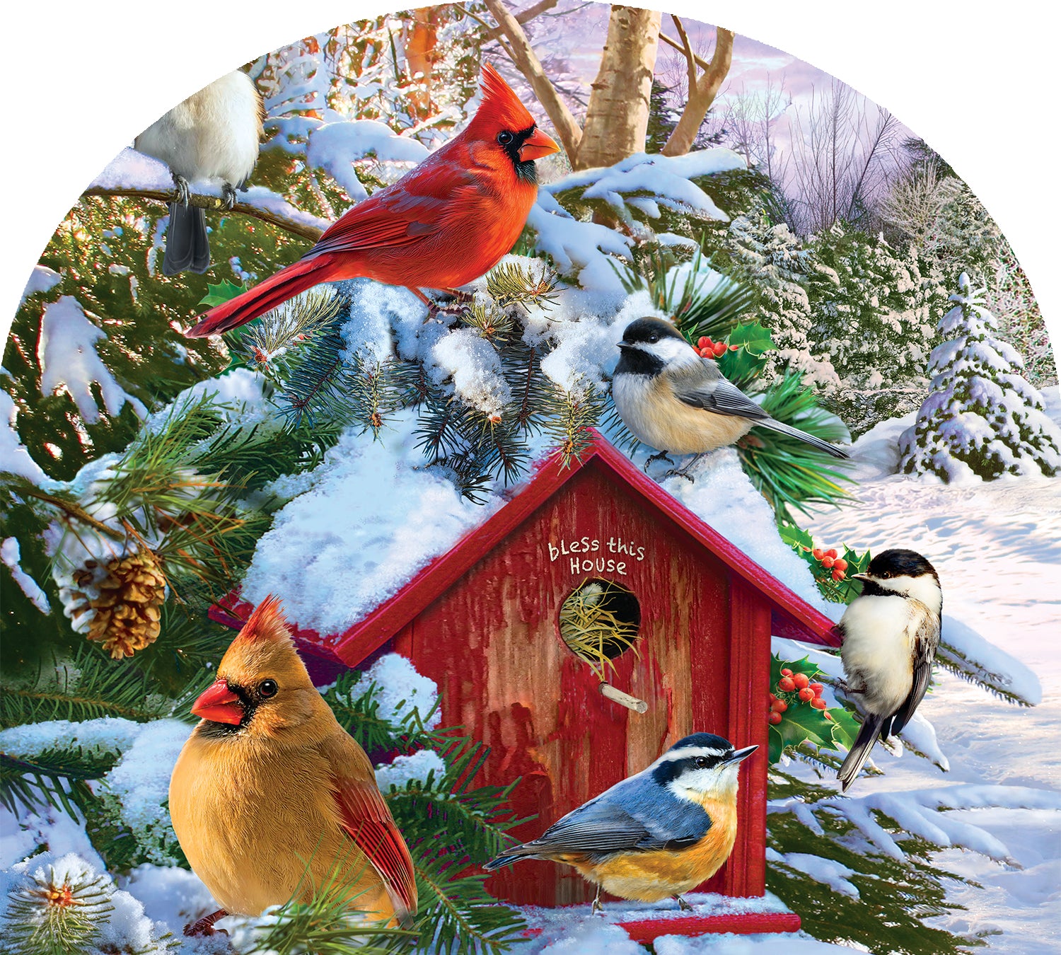 Arbor Mate Winter Birds panel showcasing colorful winter bird designs displayed in a well-maintained garden setting with vibrant flowers.