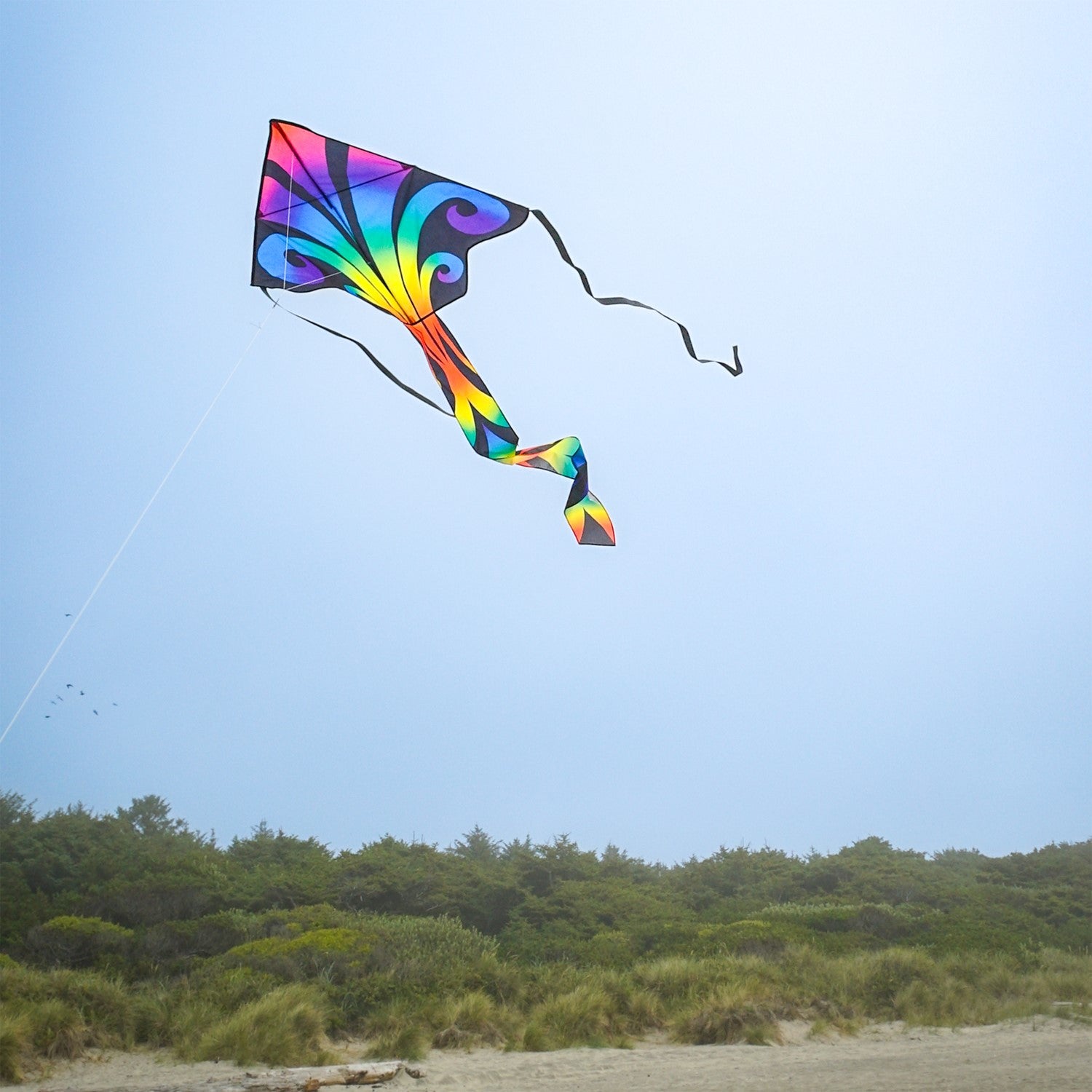 Aurora 46 inch Fly-Hi Kite soaring in a clear sky, featuring colorful printed design and streamer tails, ideal for family outdoor activities.