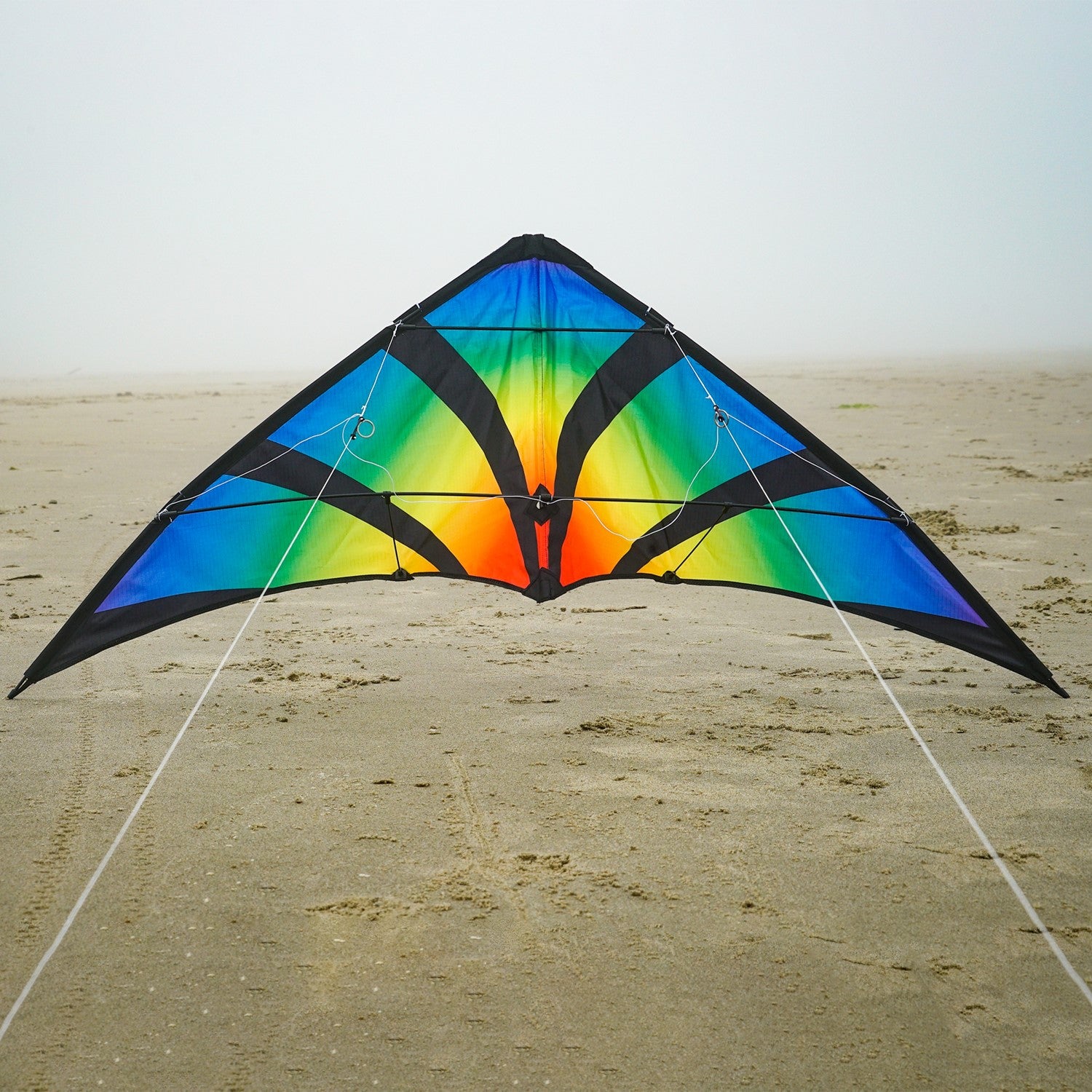Aurora 48 inch Stunt Kite featuring a brilliant aurora pattern, flying against a clear blue sky in a festive outdoor setting.