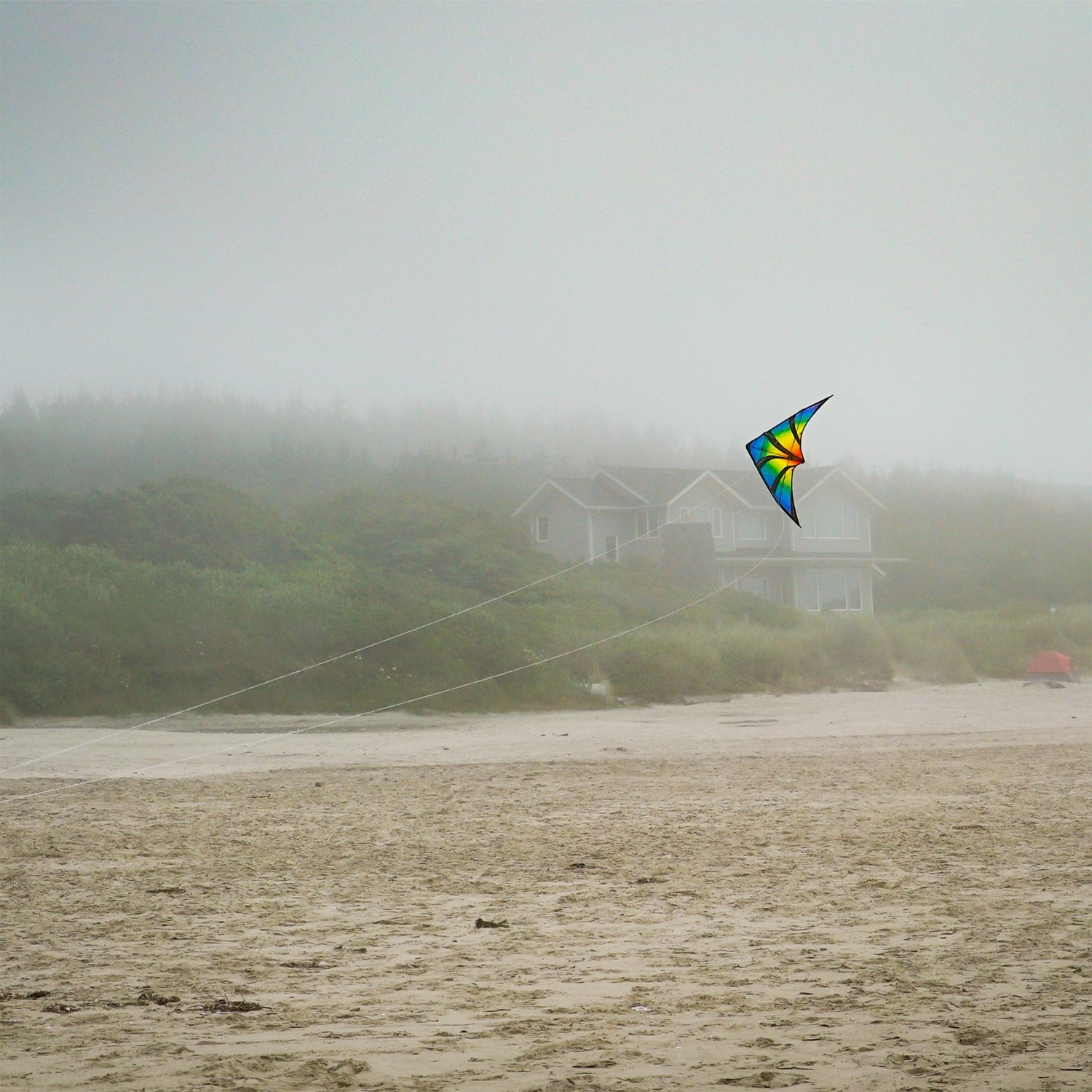 Aurora 48 inch Stunt Kite featuring a brilliant aurora pattern, flying against a clear blue sky in a festive outdoor setting.