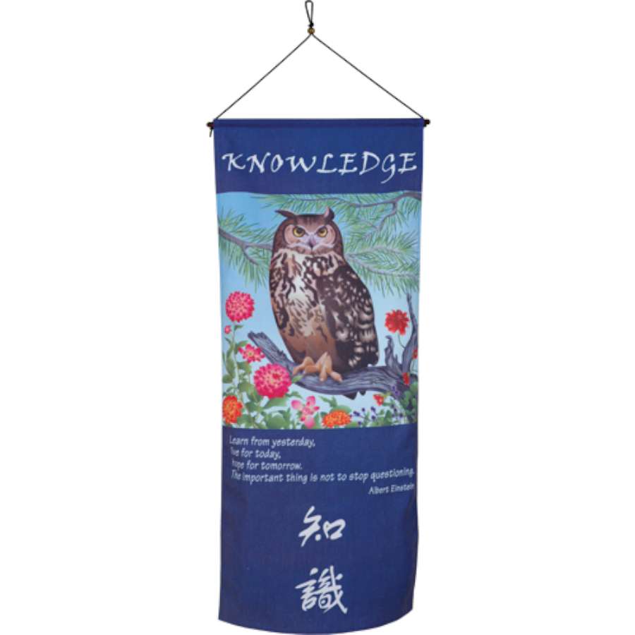 Banner Scroll - Knowledge displaying an inspiring quote by Einstein in elegant calligraphy on soft canvas with wood hanger against a wall.
