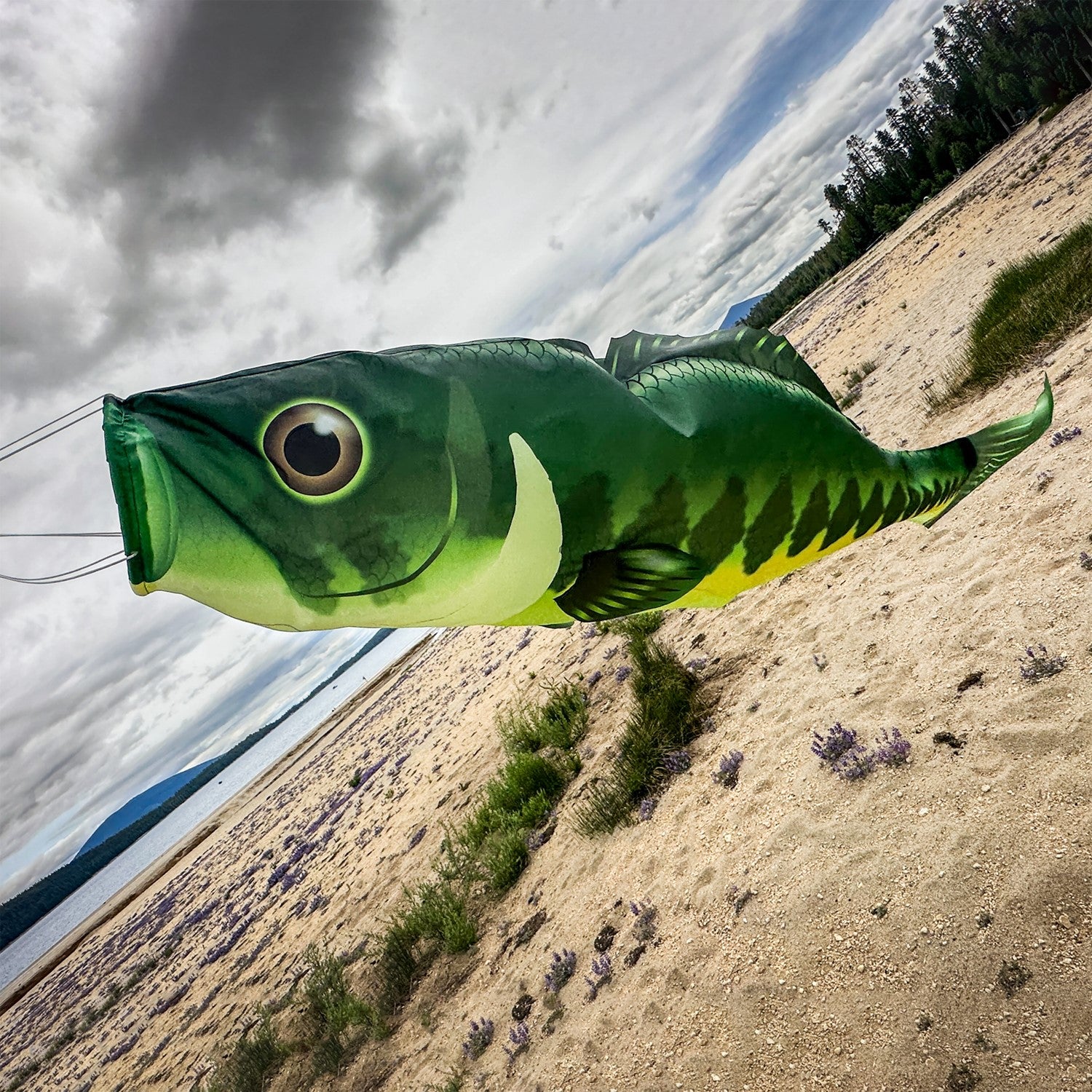 Bass 48-inch Fish Windsock with realistic printed detail, dancing in the breeze, perfect for outdoor fishing-themed display.
