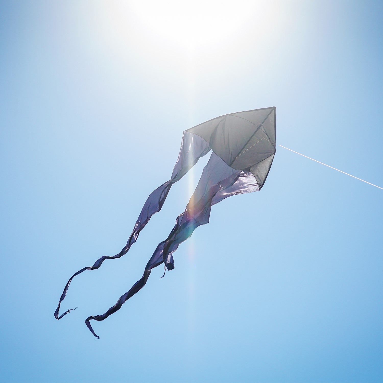 Black 77" Wave Delta Kite soaring in the sky with long flowing tails, perfect for family enjoyment and easy to fly outdoor fun.