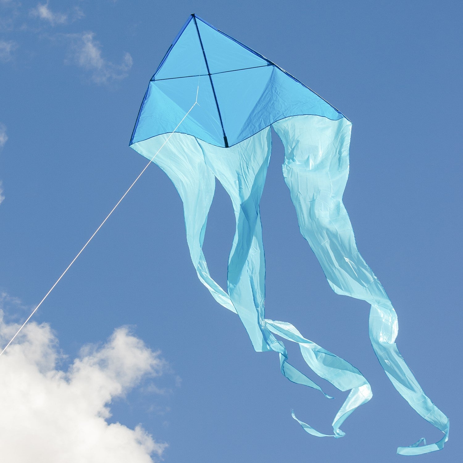 Blue 77" Wave Delta Kite soaring in the sky with long, flowing taffeta tails in a sunny outdoor setting.