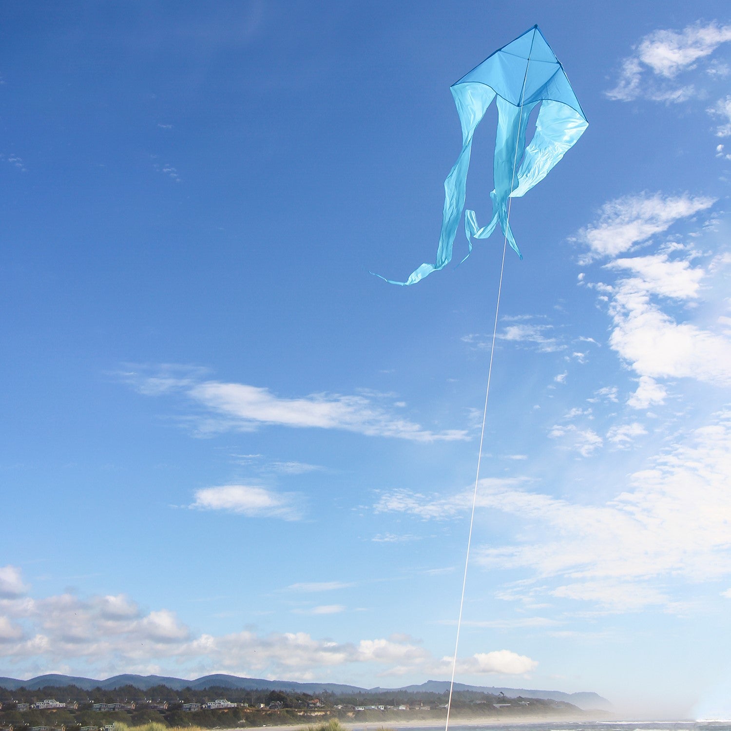 Blue 77" Wave Delta Kite soaring in the sky with long, flowing taffeta tails in a sunny outdoor setting.