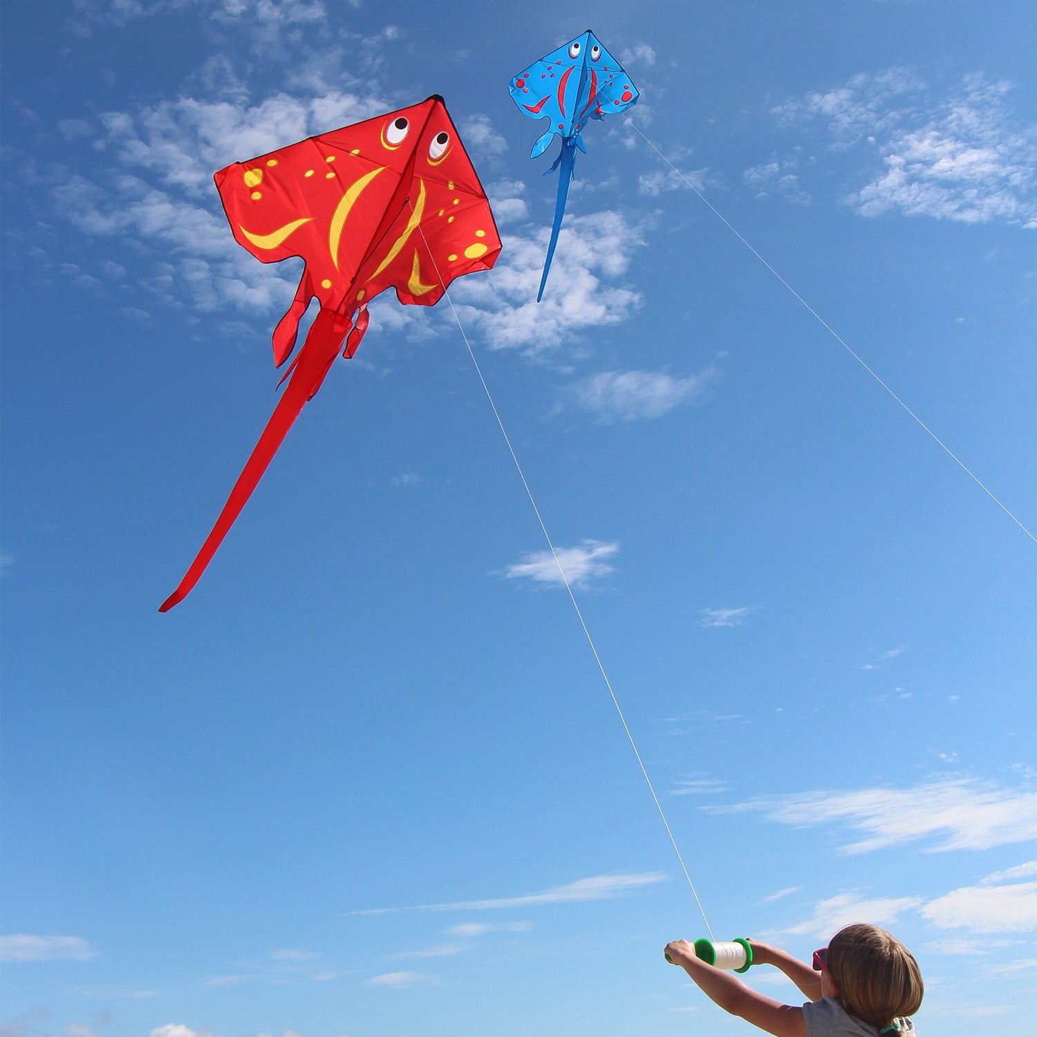 Blue Stingray Kite with vibrant applique design flying high in the sky, featuring a 6-foot wingspan and a sturdy tube tail for stability.