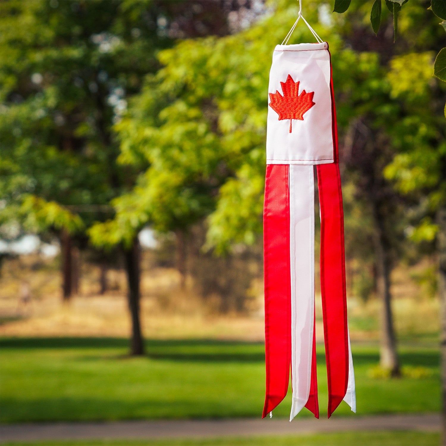 Canada 18-inch windsock displaying a bright maple leaf design, fluttering in the breeze outdoors with six colorful tails.