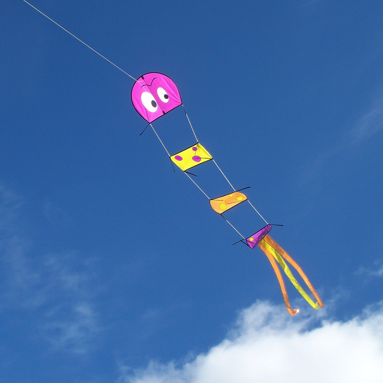 Caterpillar Kite flying in a clear blue sky, showcasing its colorful four-section body and playful tails that enhance stability.