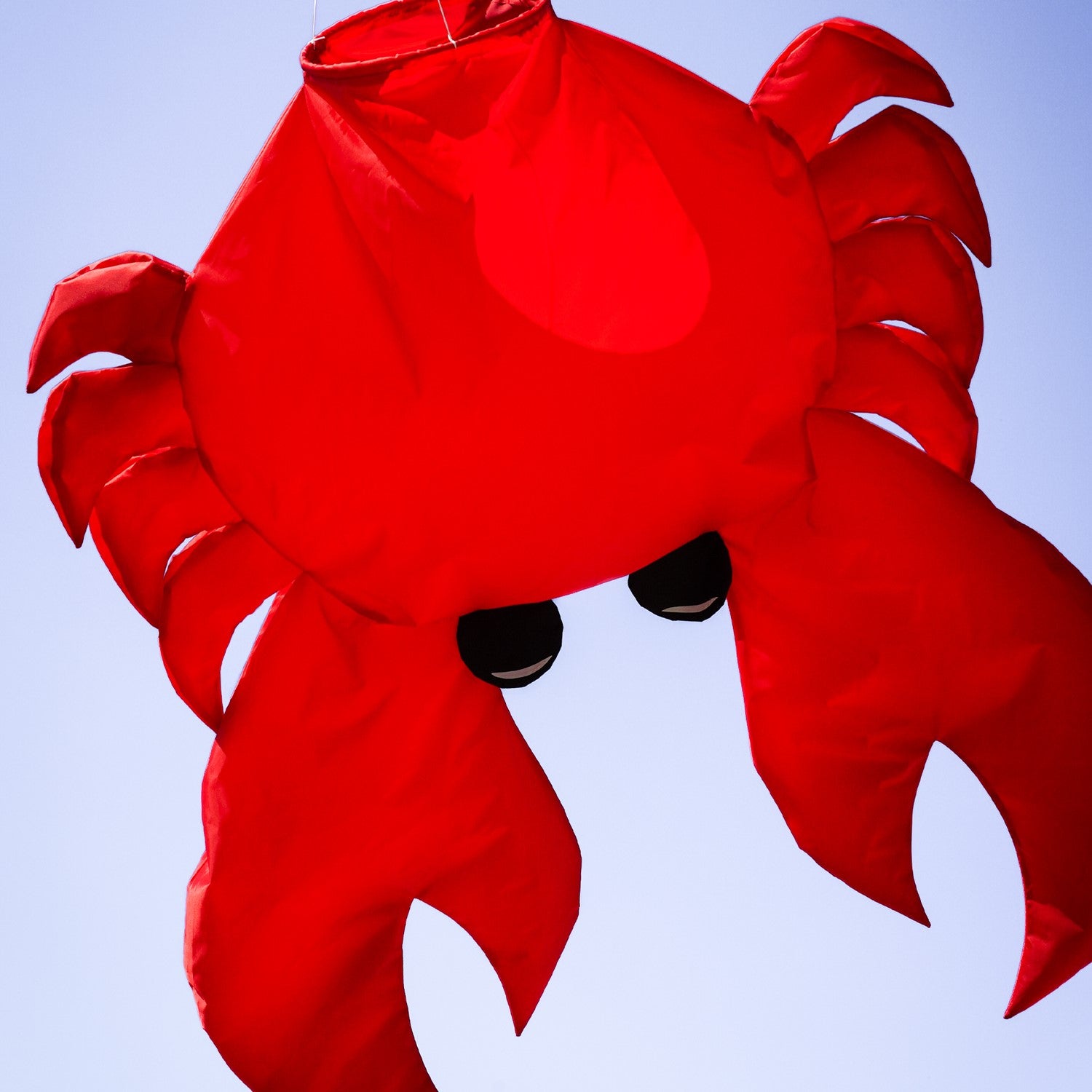 Crab Big Breeze WindsockTM in colorful 3D design swaying in the wind, showcasing inflatable legs and claws, perfect for outdoor decoration.