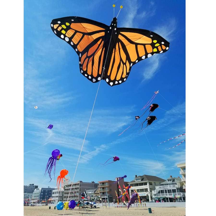 Large orange monarch butterfly kite with realistic appliqué wings, carbon frame, and 10-foot wingspan for artistic flying in light to medium winds.