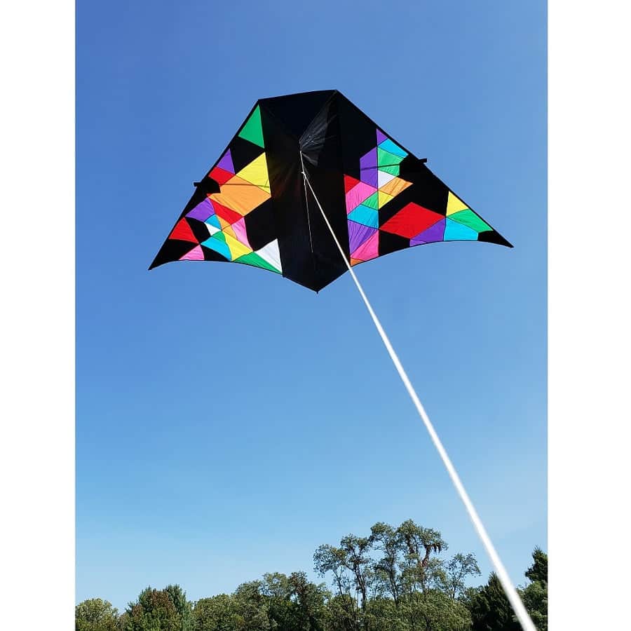 Geometric tunnel delta kite with large wingspan and vivid abstract pattern, built with carbon tubes to lift line laundry in 4–15 mph wind.