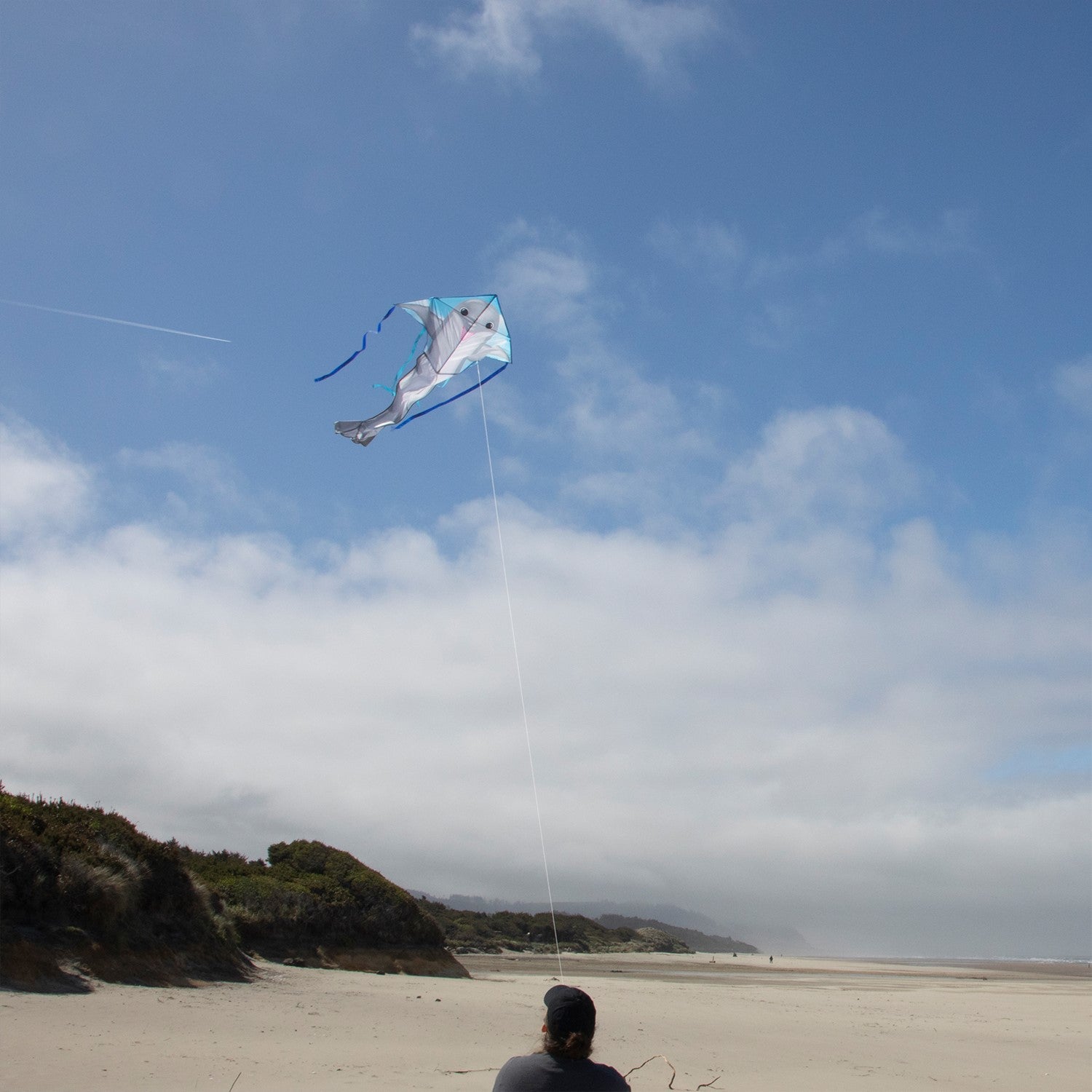Dolphin 45-inch Fly-Hi Kite flying high in a blue sky, featuring a vibrant dolphin design and colorful streamer tails.