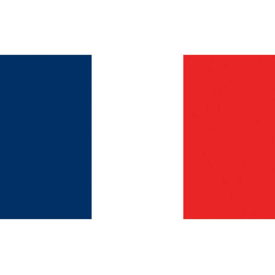 Flag Kite - France measuring 60x36 in. soaring in the sky with a colorful French flag design, perfect for outdoor family activities.