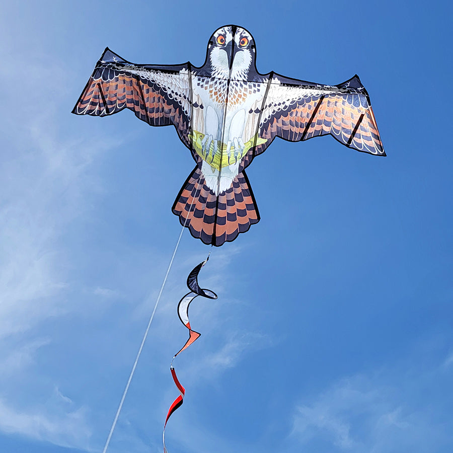 Flapping Bird Kite - Osprey flying in the sky with twister tails, showcasing its 84 x 45-inch size and realistic bird-like movement.