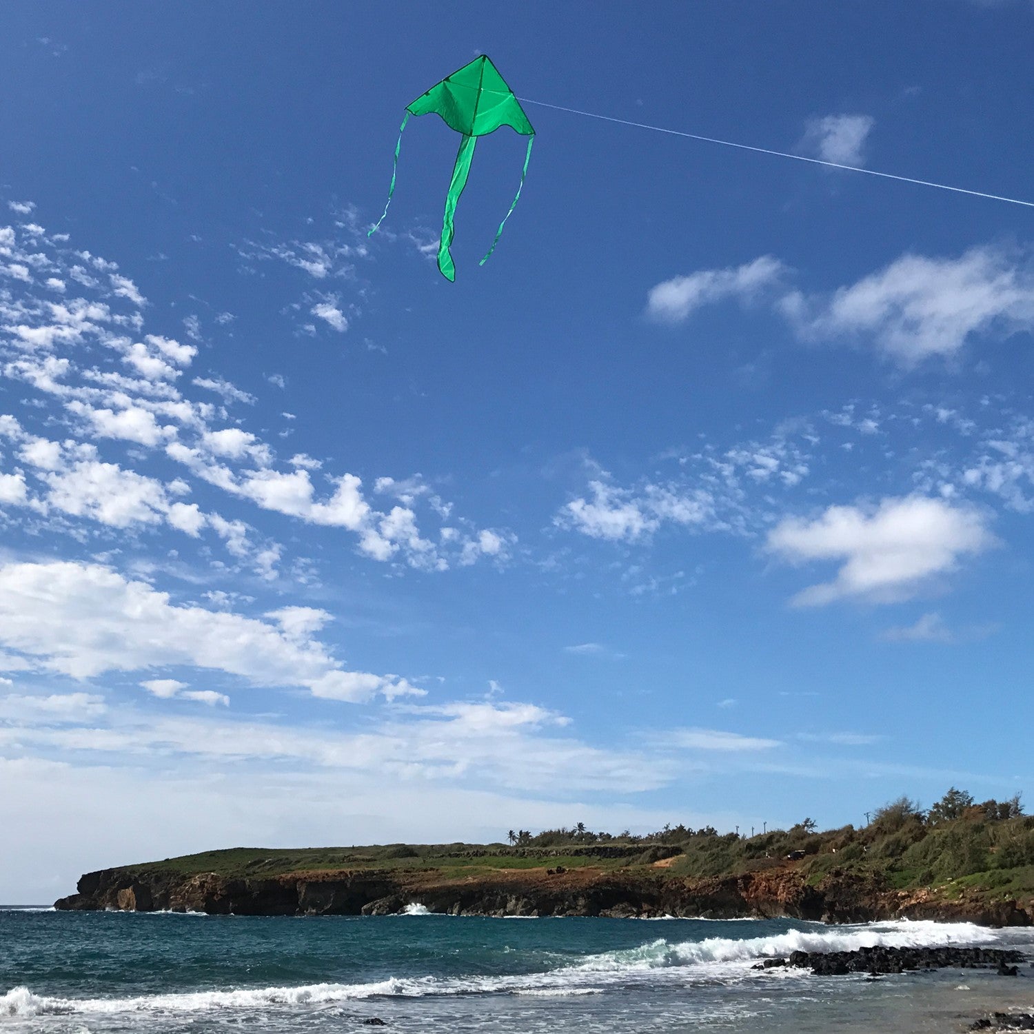 The Green Colorfly 43" Fly-Hi Kite features a bright green design and stable construction, soaring high gracefully, ideal for novice kite enthusiasts and outdoor adventures.