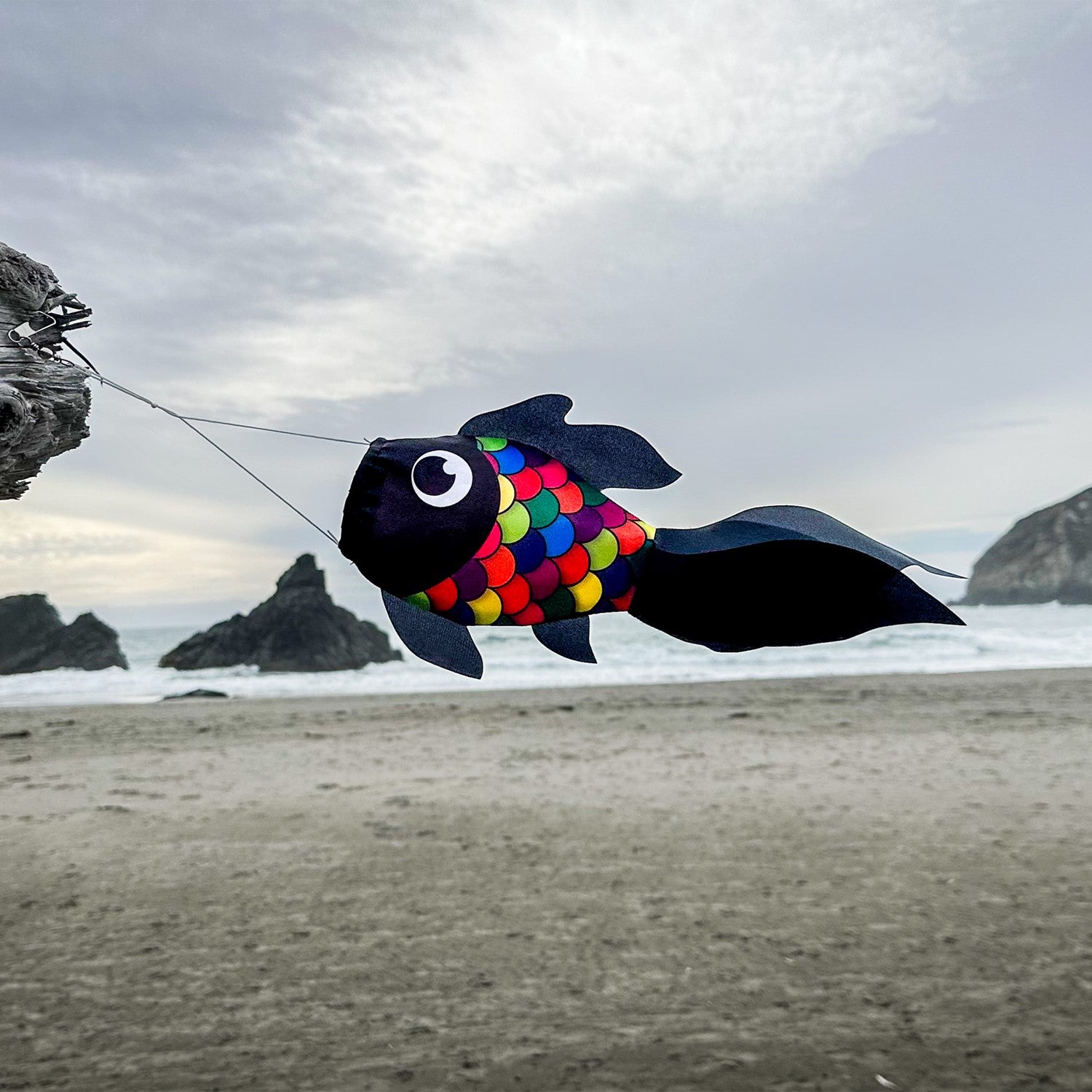 Alt Text: 15-inch Black & Rainbow Damsel Fish windsock fluttering gently in the breeze, showcasing vibrant colors and playful design.